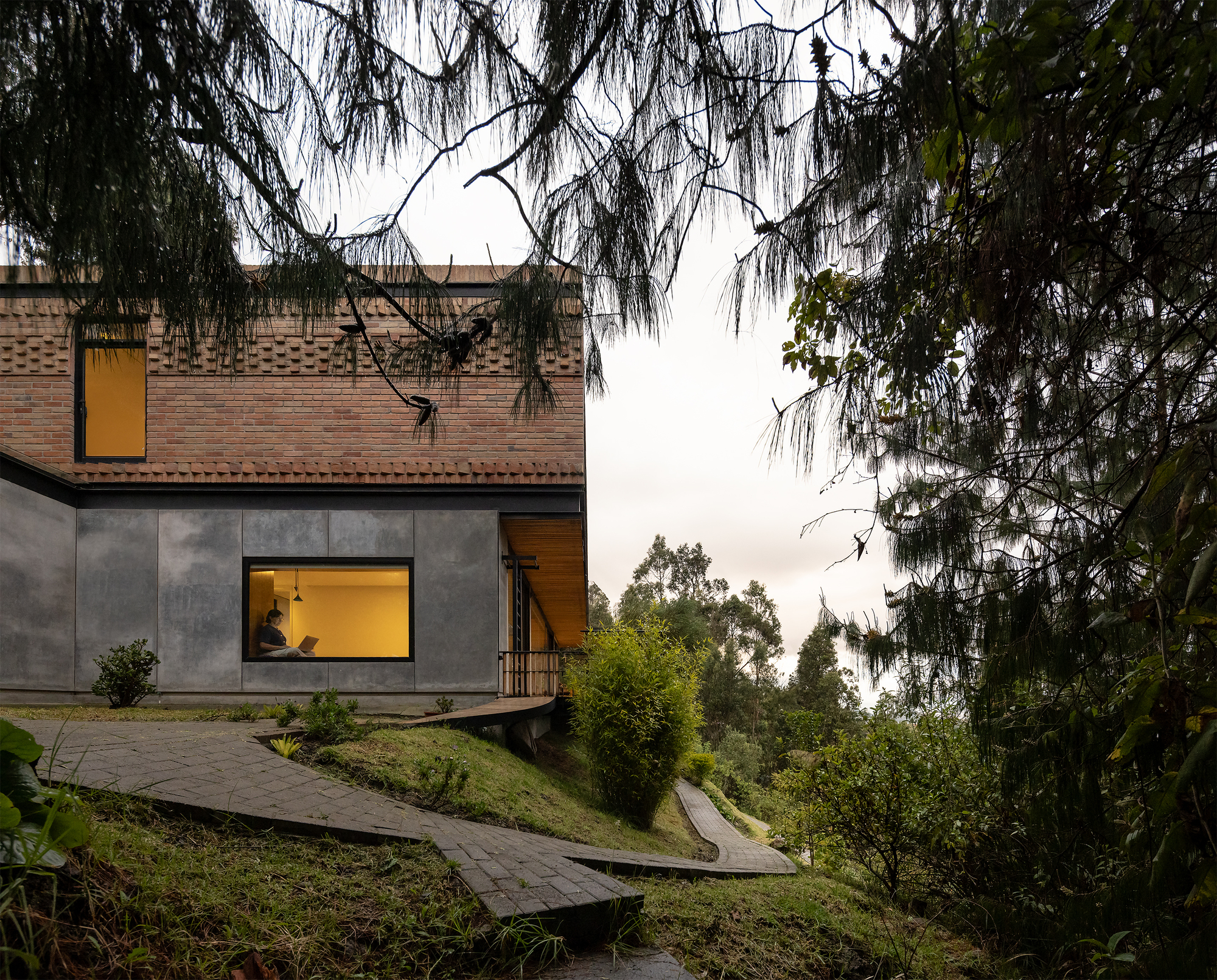 Concrete and brick facade with illuminated windows framed by overhanging willow branches at twilight