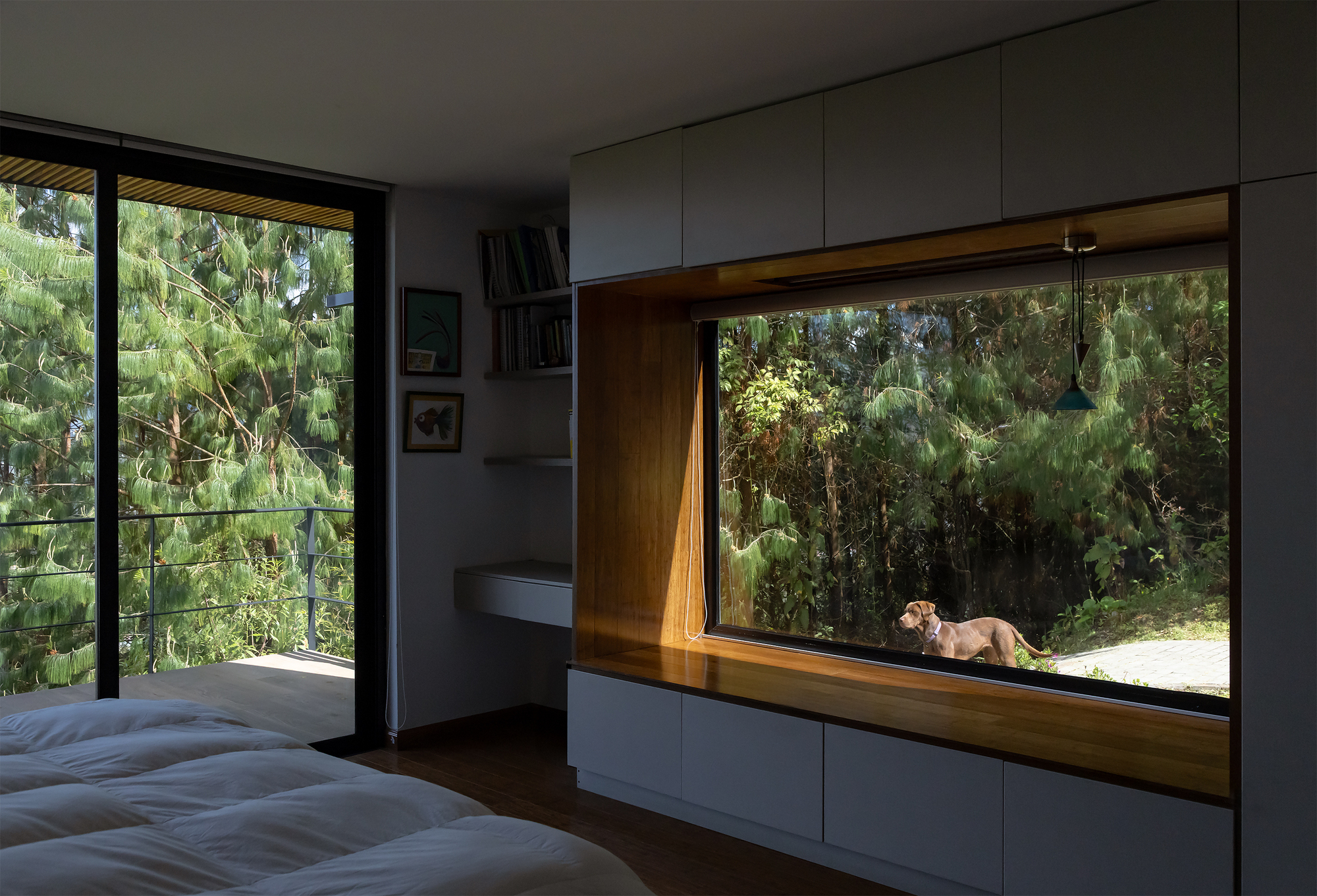 Bedroom interior with timber-framed picture window overlooking pine trees and a dog resting outside