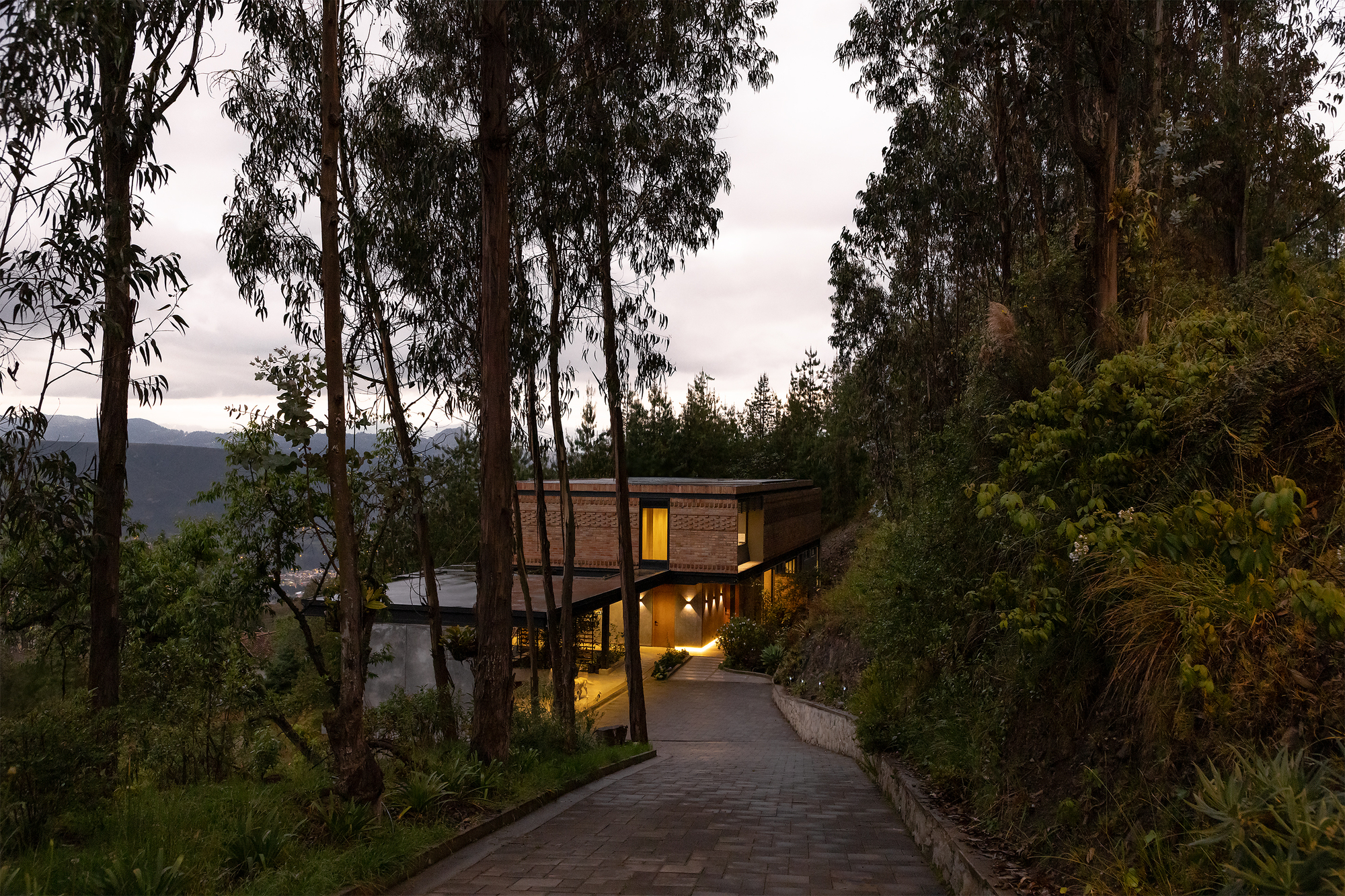 Paved driveway approach to brick and timber residence through tall eucalyptus forest at dusk