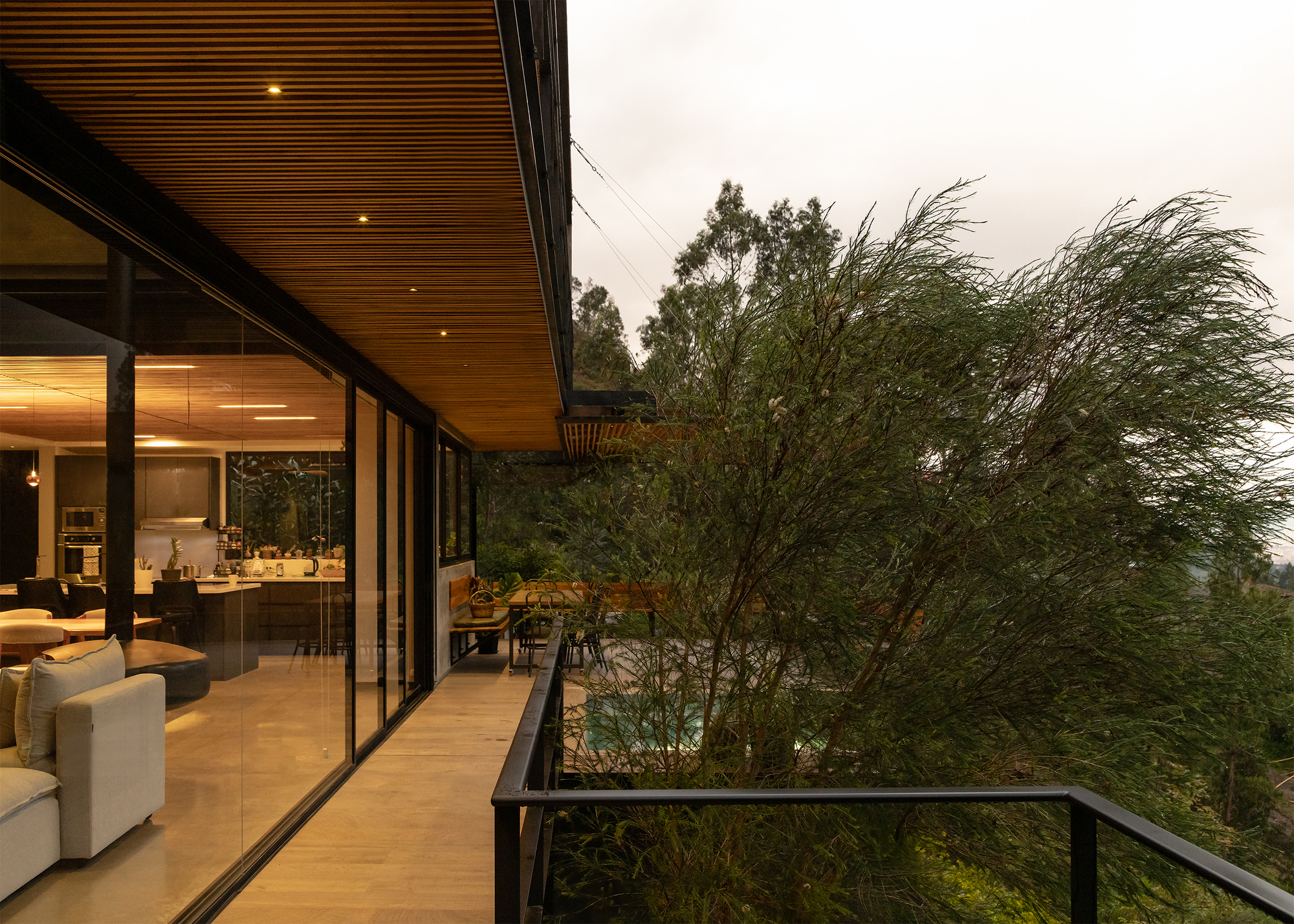 Glass-walled living room with slatted timber soffit opening to planted courtyard with windblown tree