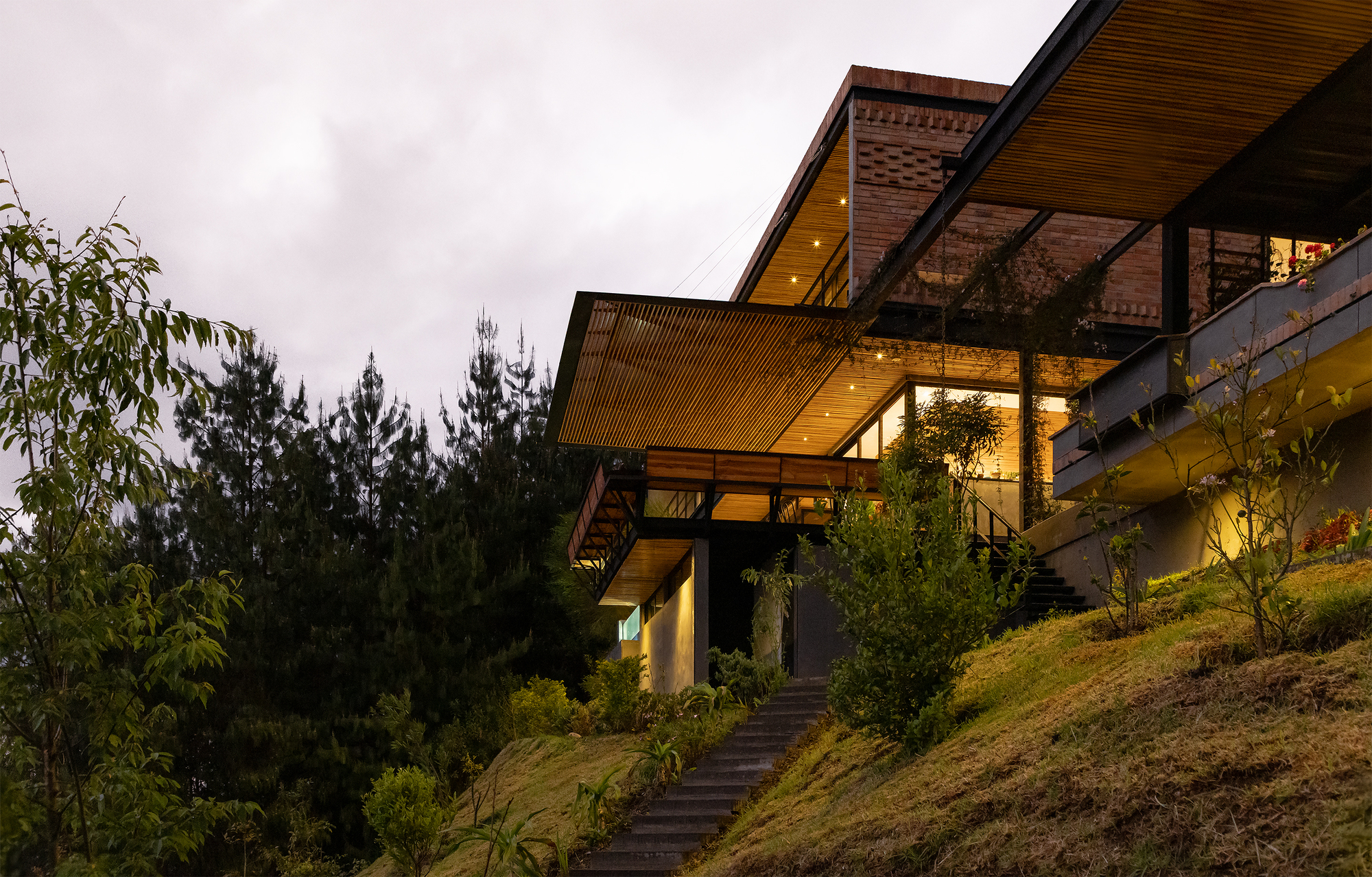 Staggered timber-clad volumes with deep overhangs stepping up a planted hillside at dusk