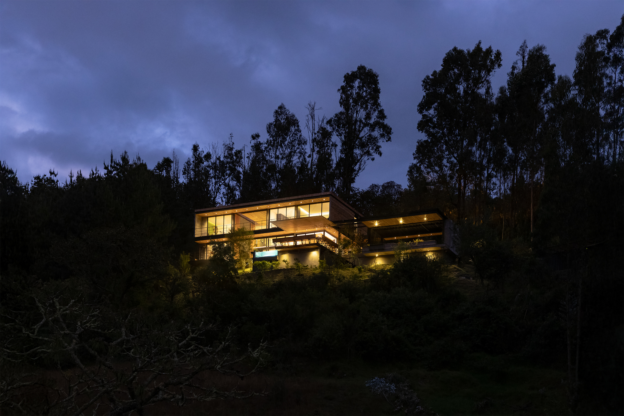 Illuminated residence nestled into forested hillside under blue hour sky with eucalyptus silhouettes