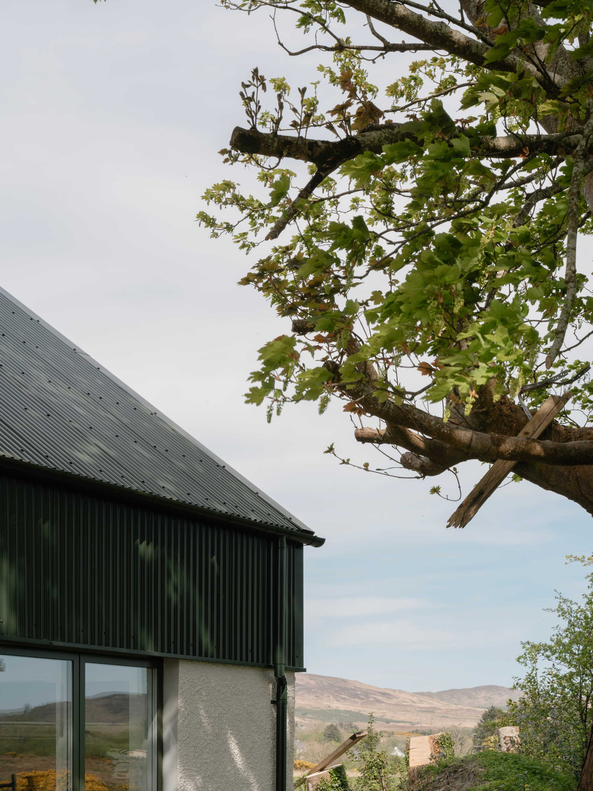 Detail of the green corrugated roof meeting whitewashed walls beneath an overhanging tree with distant hills