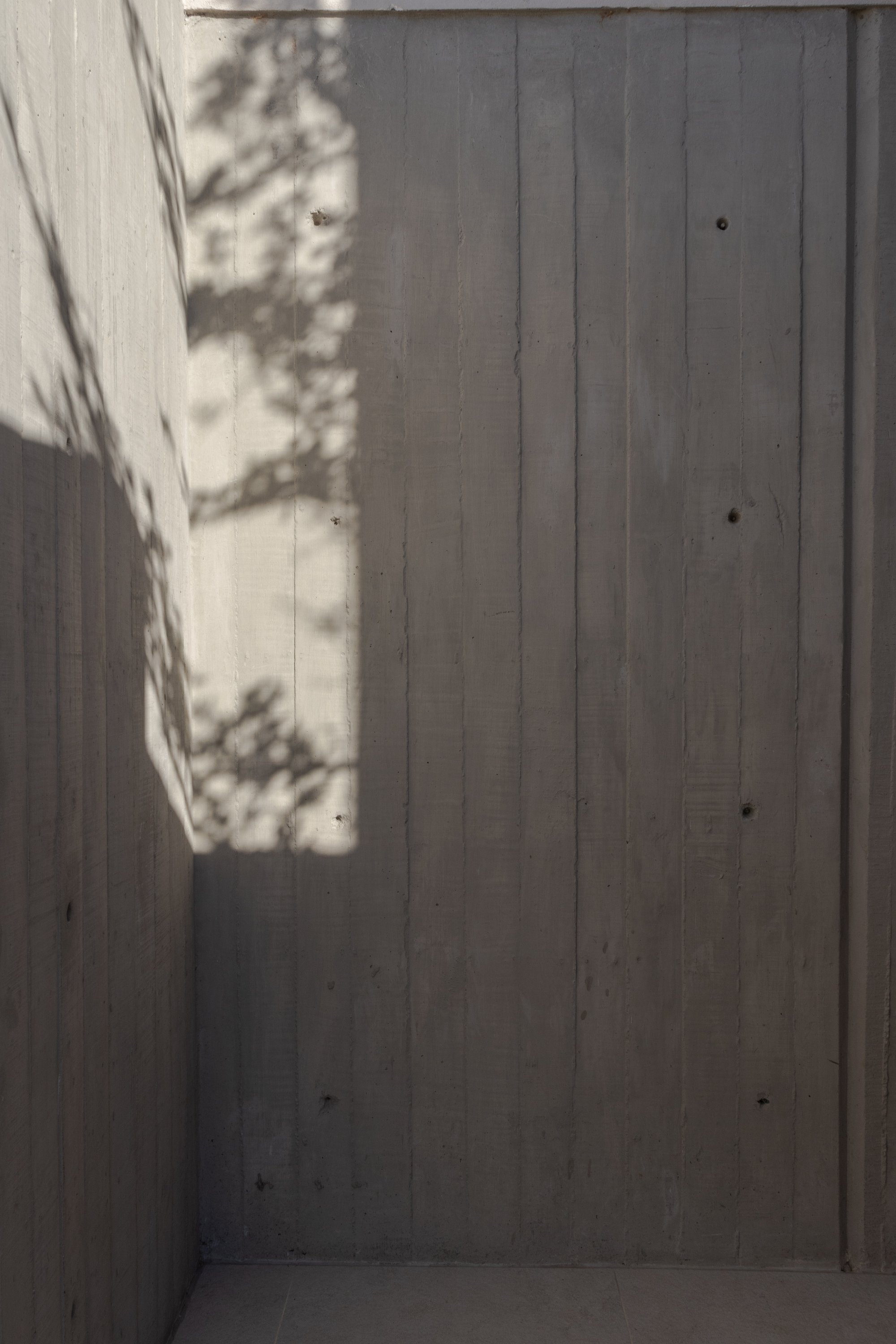 Timber-clad courtyard wall with dappled tree shadows cast across vertical boards