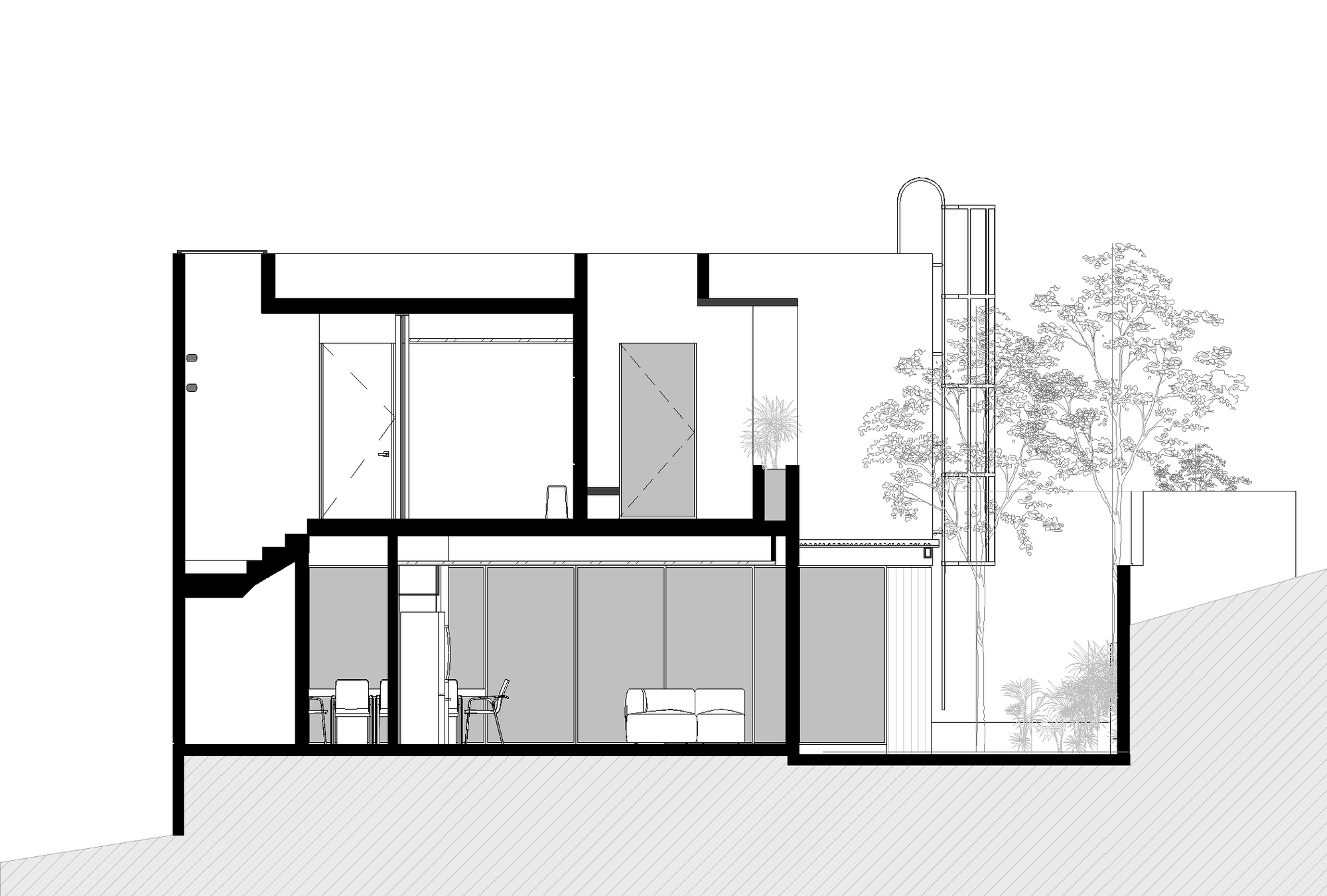 Section drawing revealing split-level interior spaces with glazed courtyard and adjacent trees