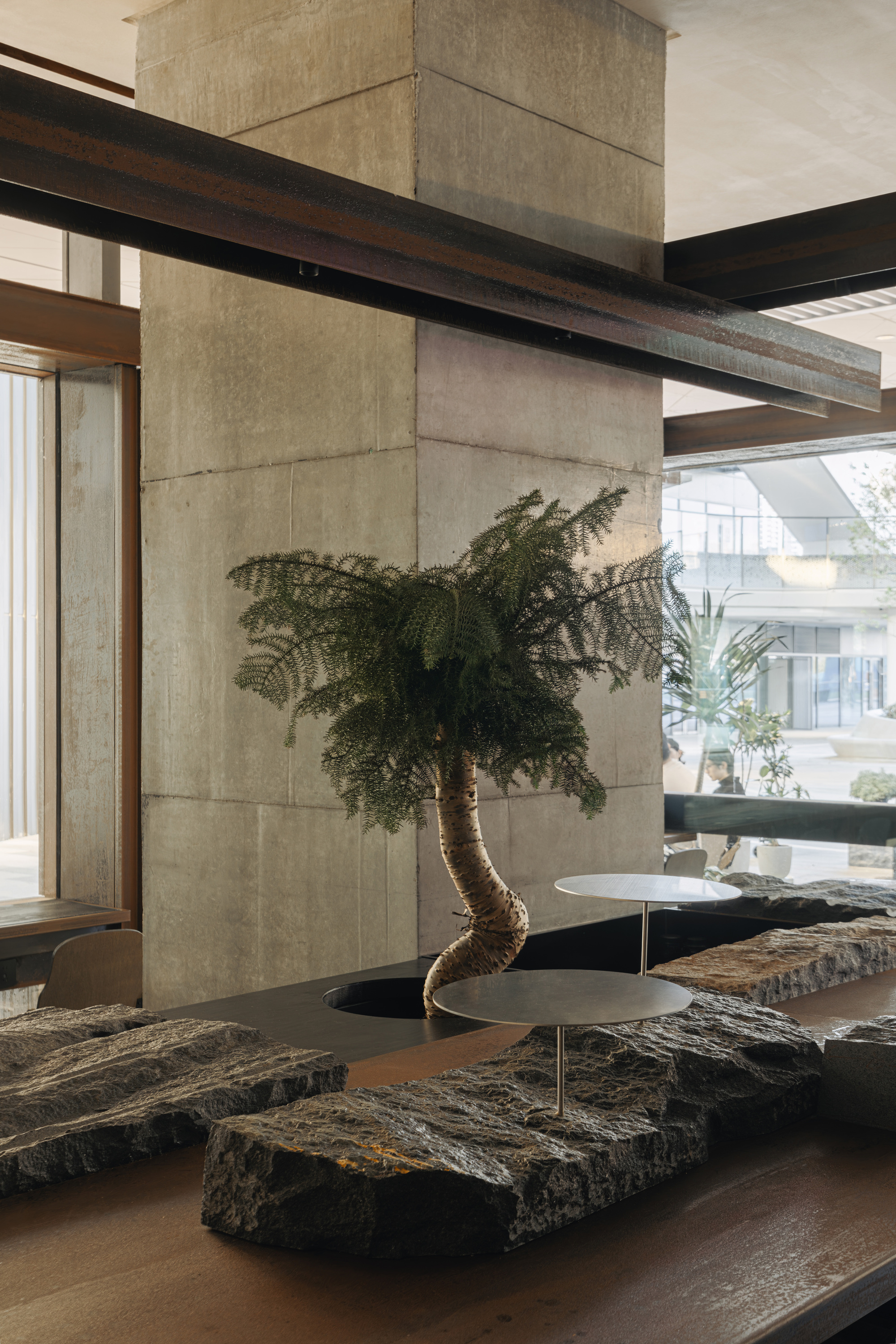 Concrete column wrapped by timber and steel beams with bonsai tree beside stone seating platforms