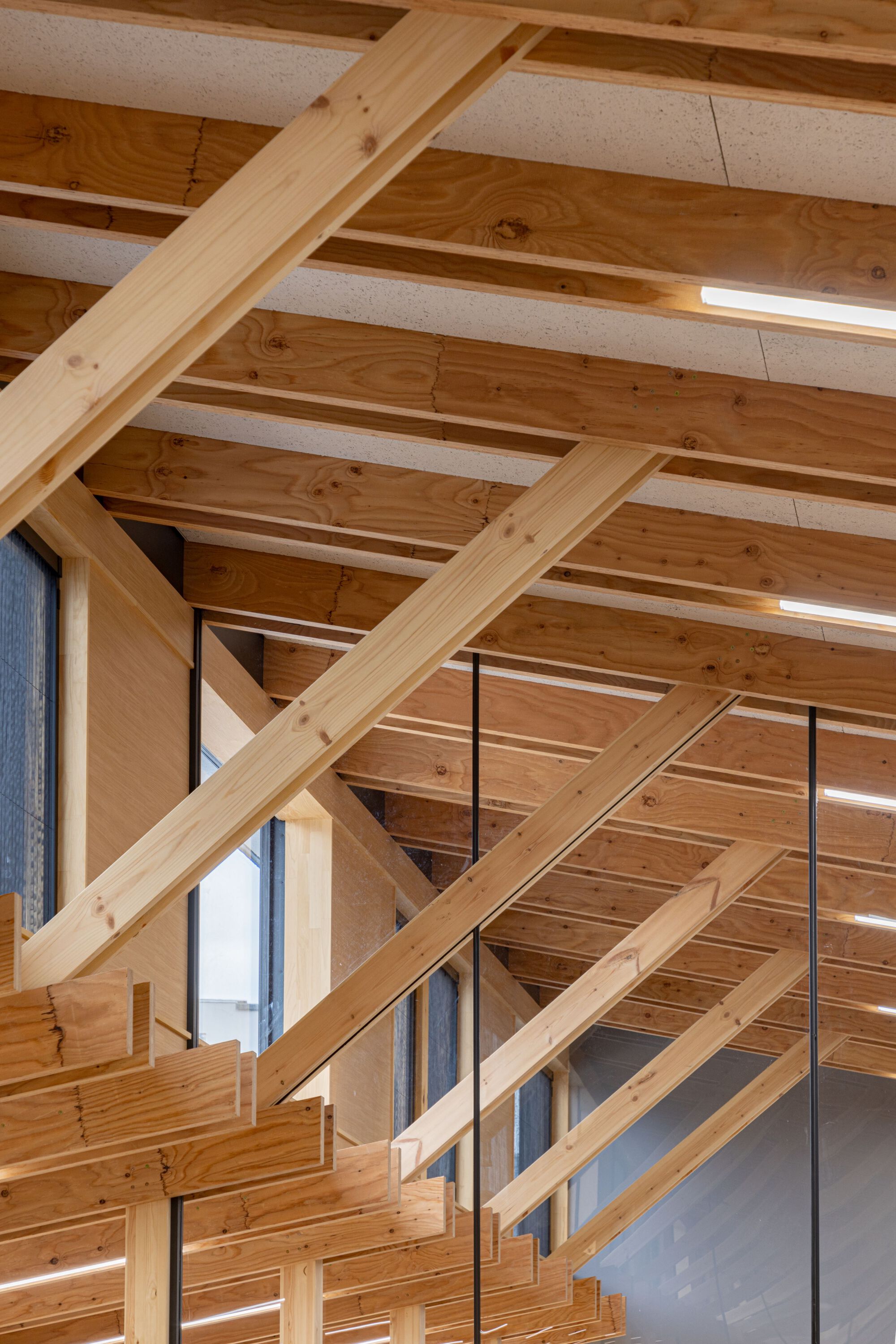 Detail of diagonal timber bracing and exposed ceiling structure above glazed curtain wall