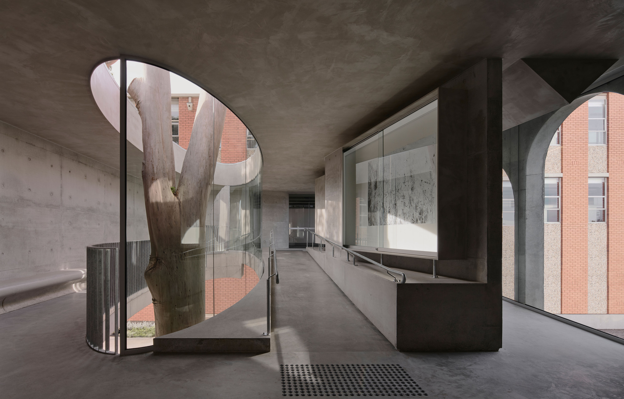 Interior walkway with glass balustrade wrapping around a tree trunk preserved within the concrete structure
