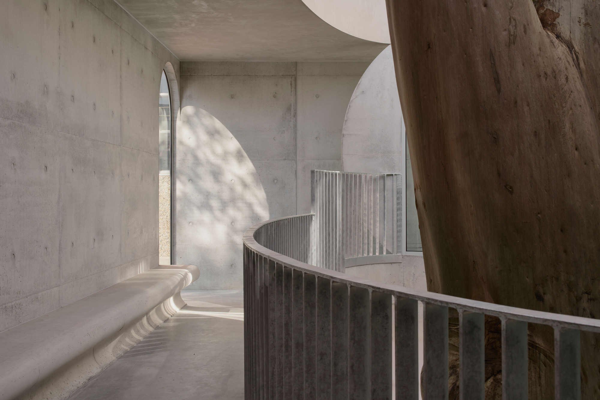 Curved concrete staircase with vertical metal balusters and preserved tree trunk under soft dappled light