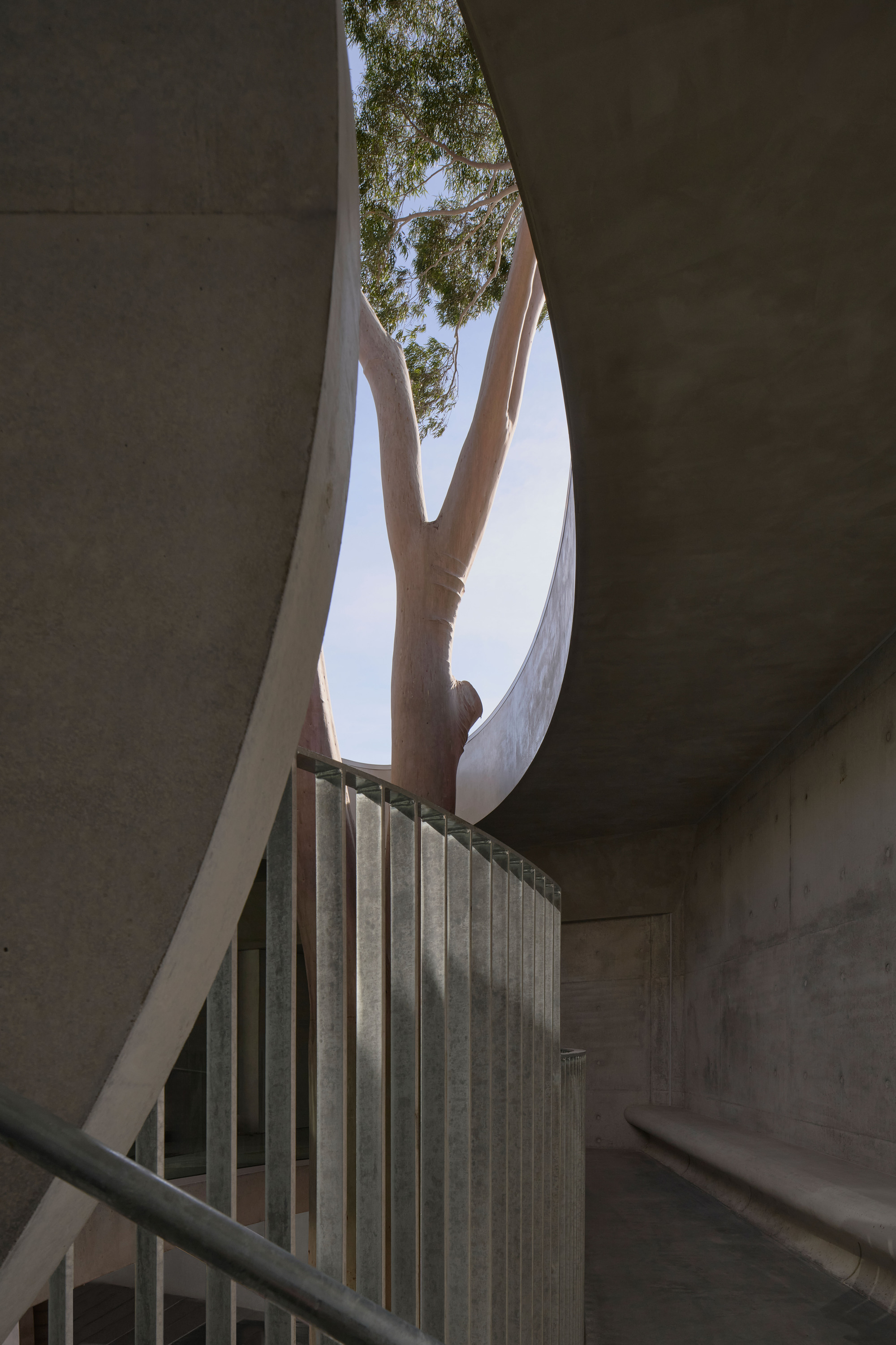Upward view through stairwell opening showing preserved tree trunk and branches against white concrete forms