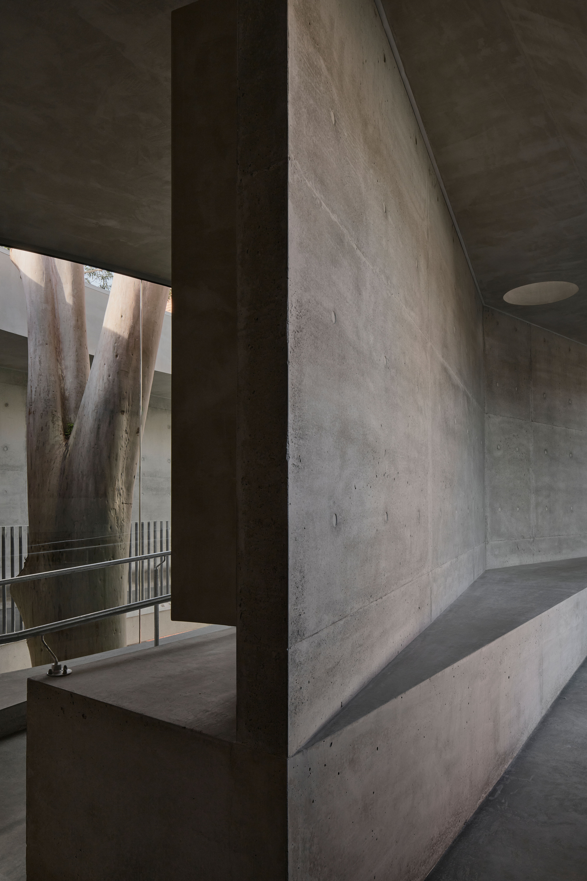 Concrete passage with viewing window framing eucalyptus trunks and a metal railing beyond