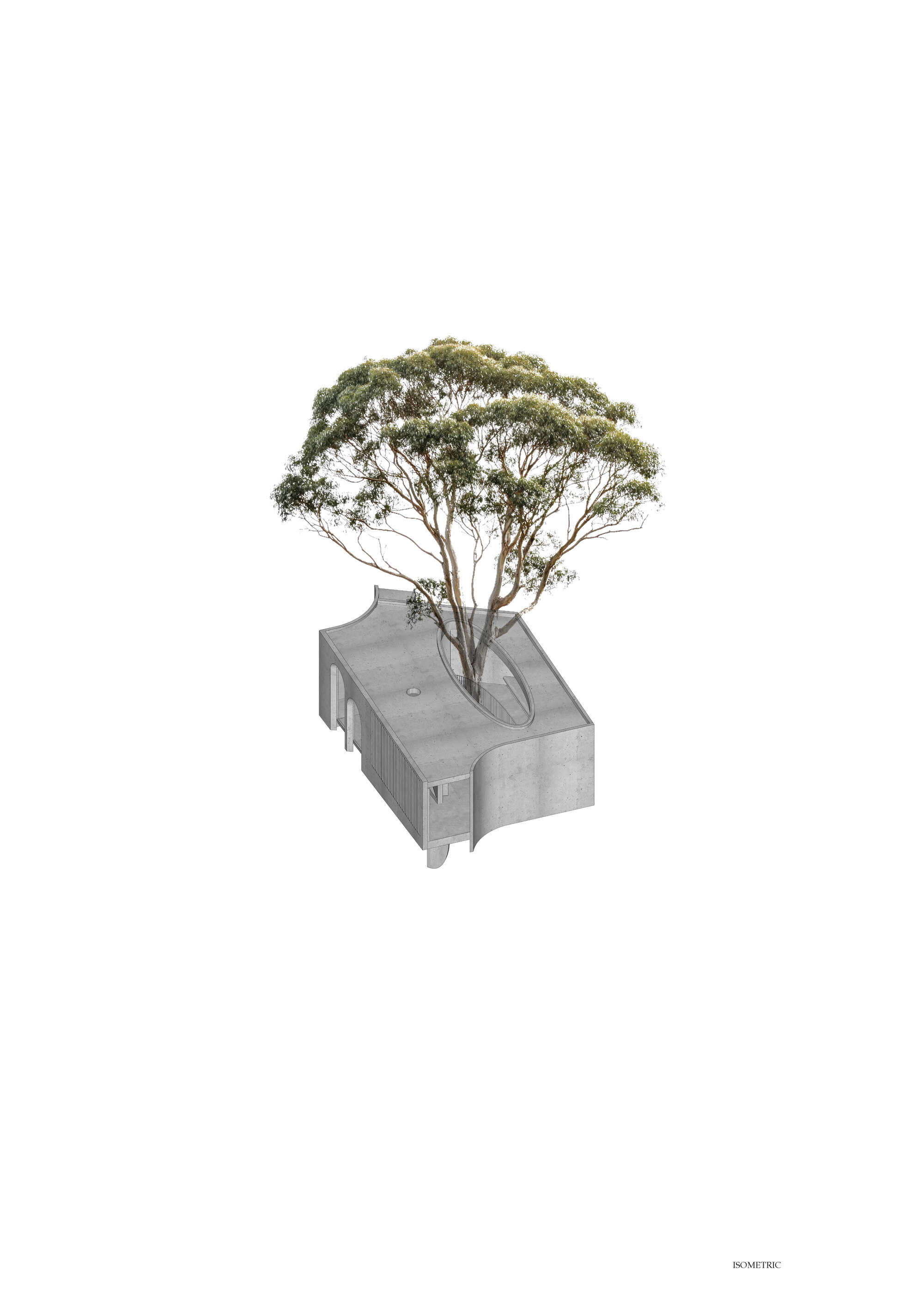 Isometric drawing of a concrete volume with a mature tree emerging from a central opening
