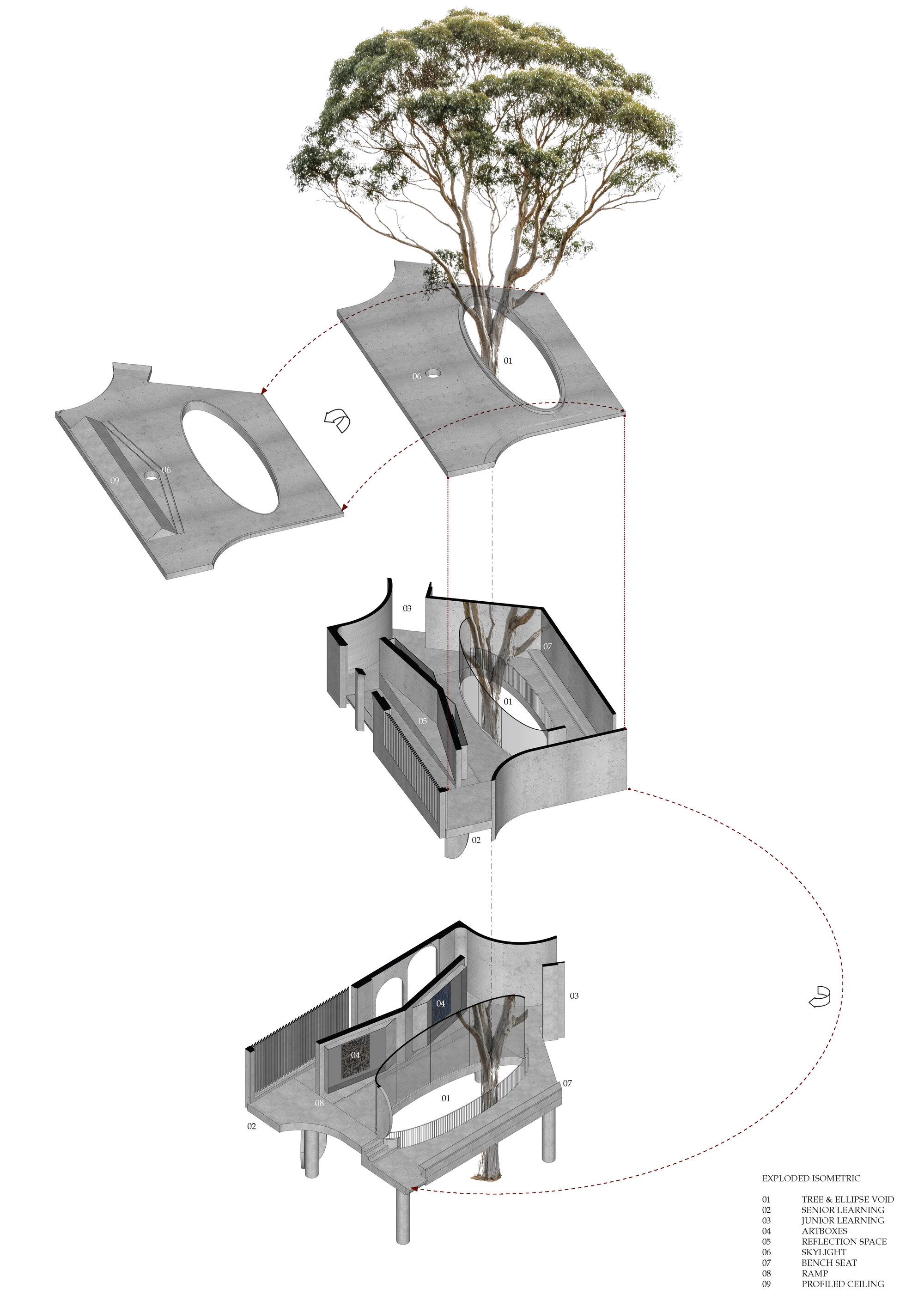 Exploded axonometric drawing revealing interior spaces and a tree emerging through the oval roof aperture