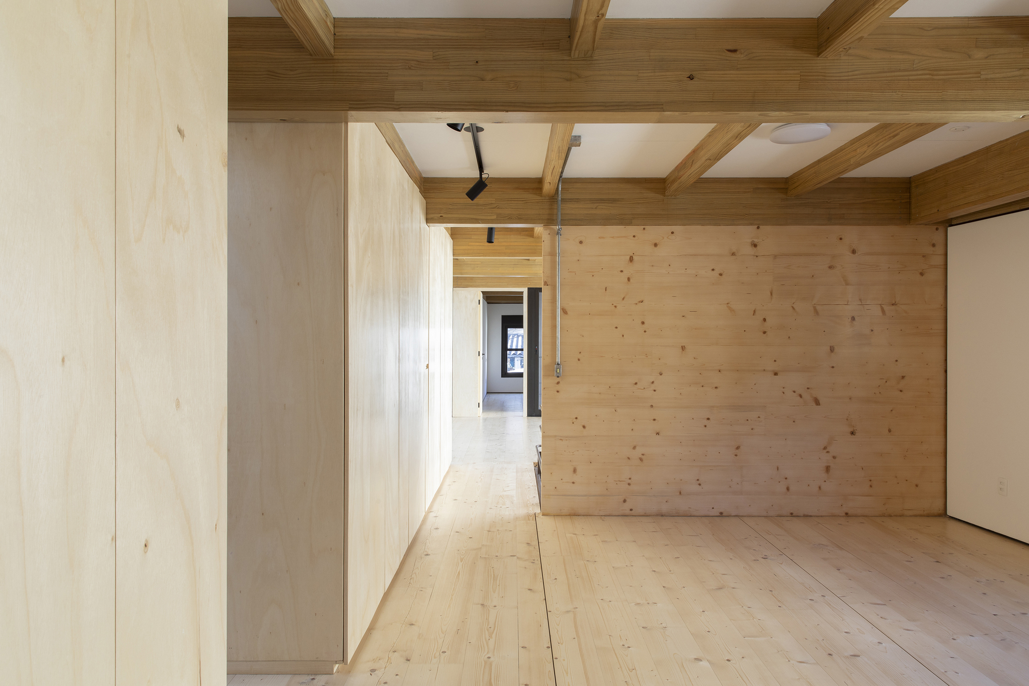 Interior corridor with timber ceiling grid, light wood walls and view through to distant window