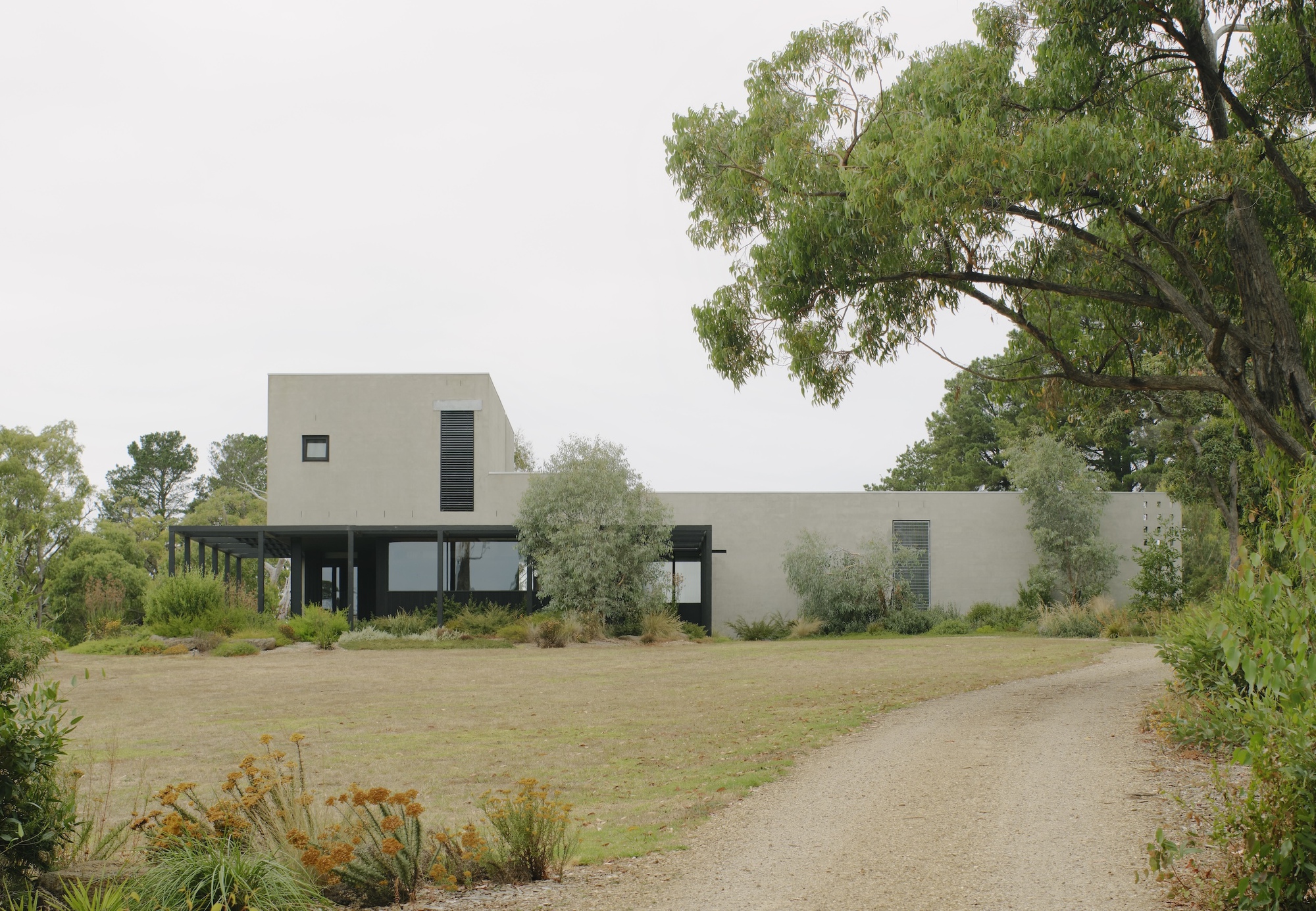Concrete facade with raised volume and glazed lower level framed by native trees and gravel driveway