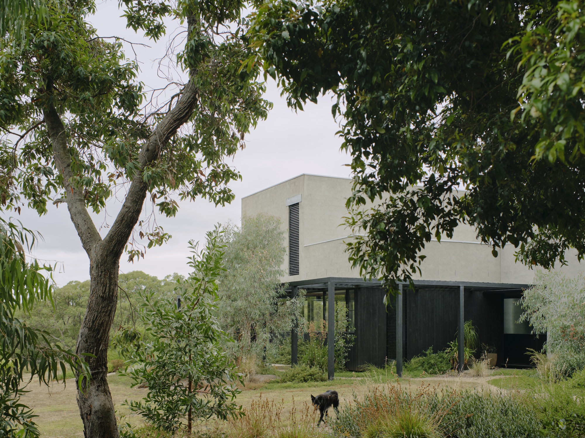 Two-story concrete volume with narrow window slots seen through foreground trees and a dog in the yard