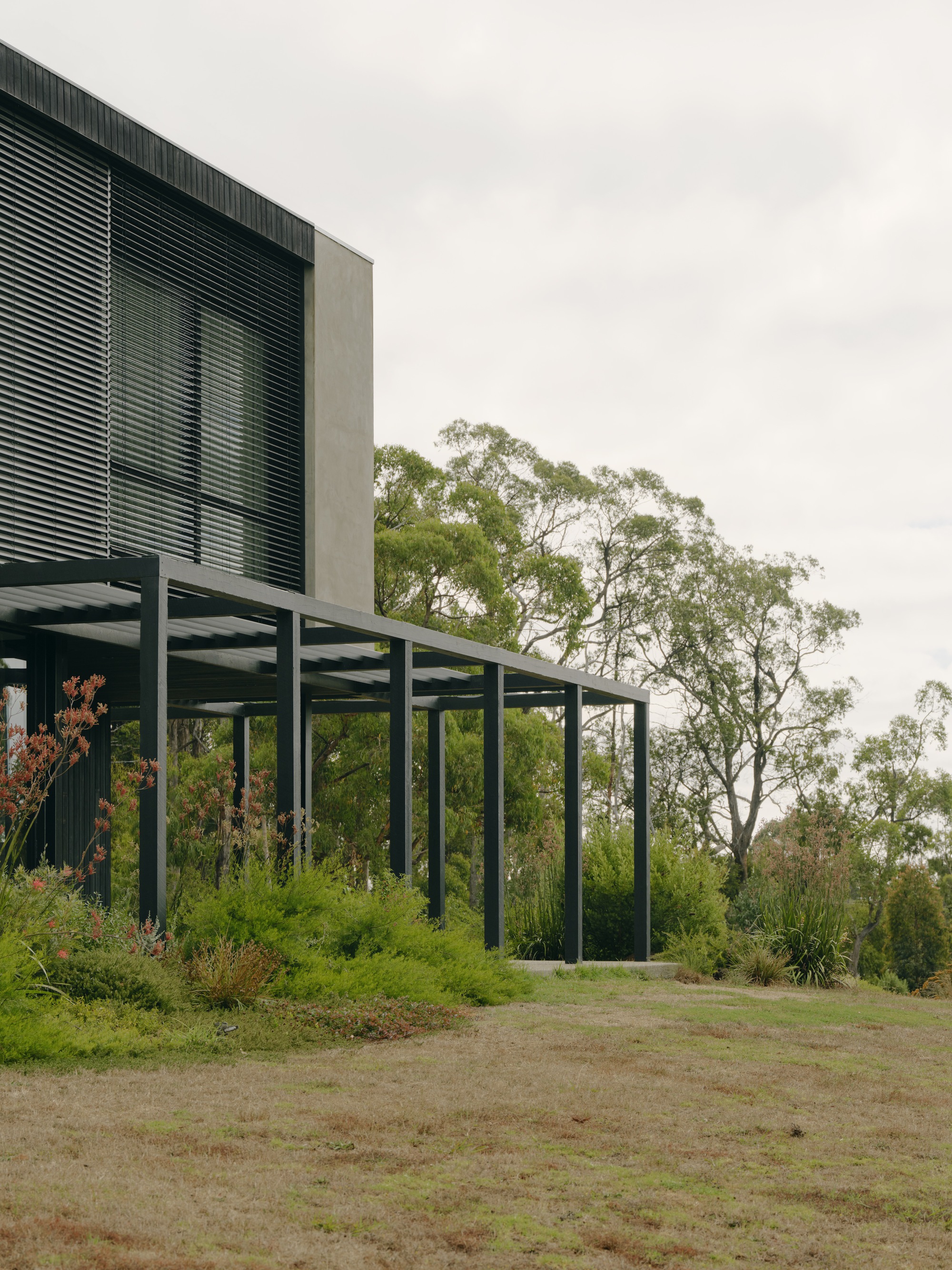 Elevated pavilion with steel column grid and horizontal louvres above a planted slope in overcast weather