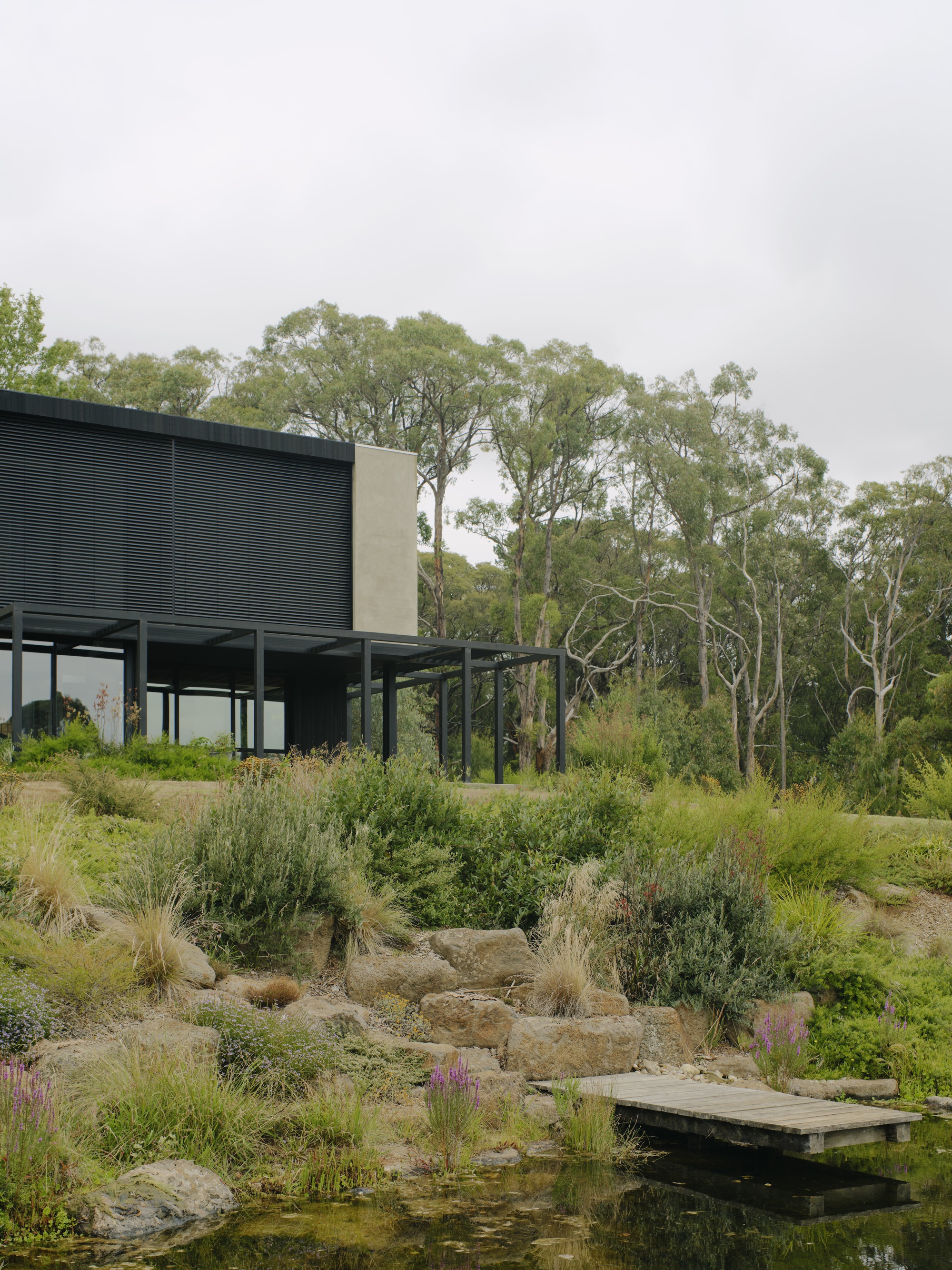 Raised terrace with native grasses and a timber boardwalk extending over a small pond