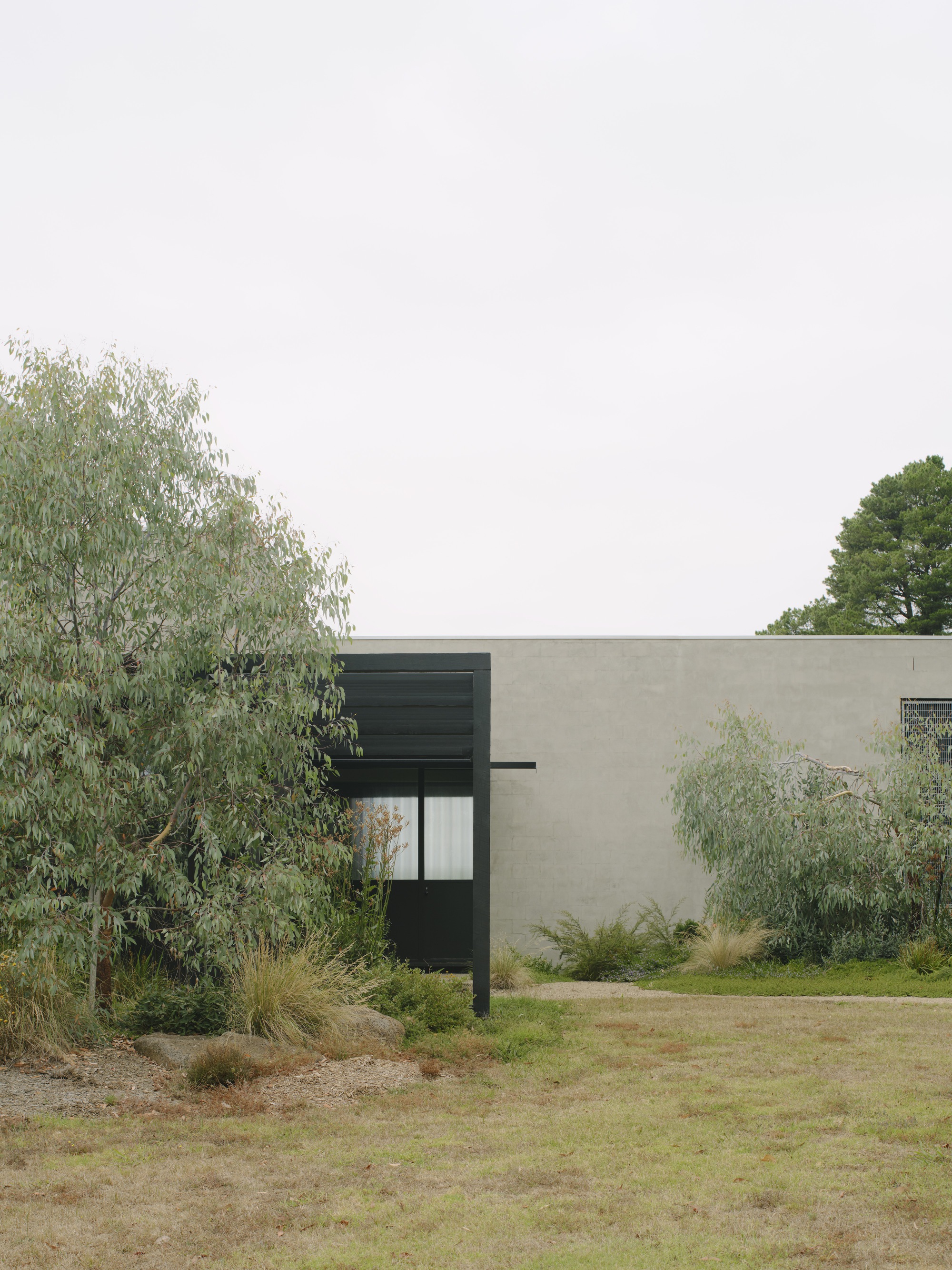 Garden facade with pale rendered walls and dark louvred volume among native grasses and eucalyptus trees
