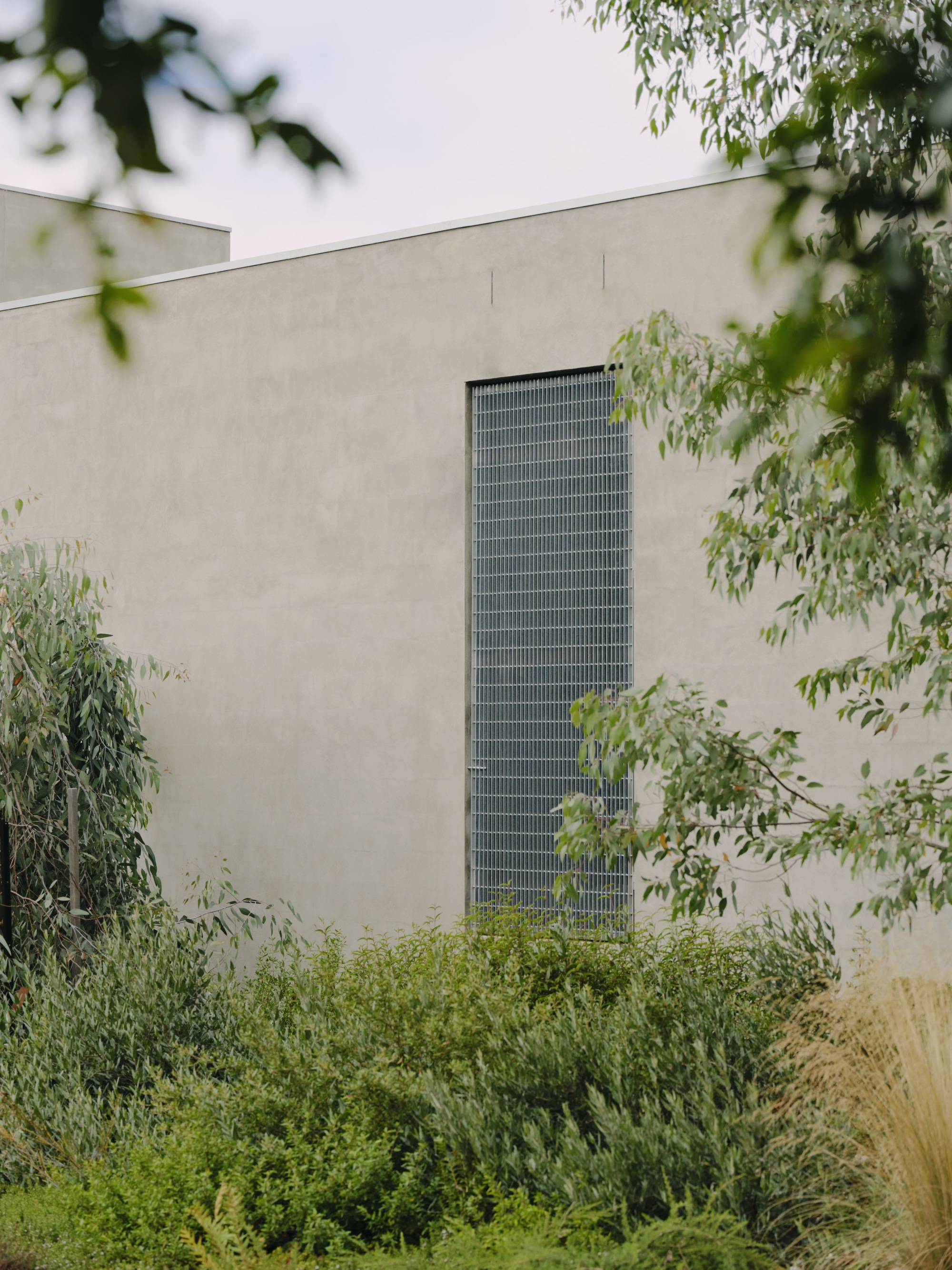 Tall vertical mesh window set into pale rendered wall framed by native grasses and foliage