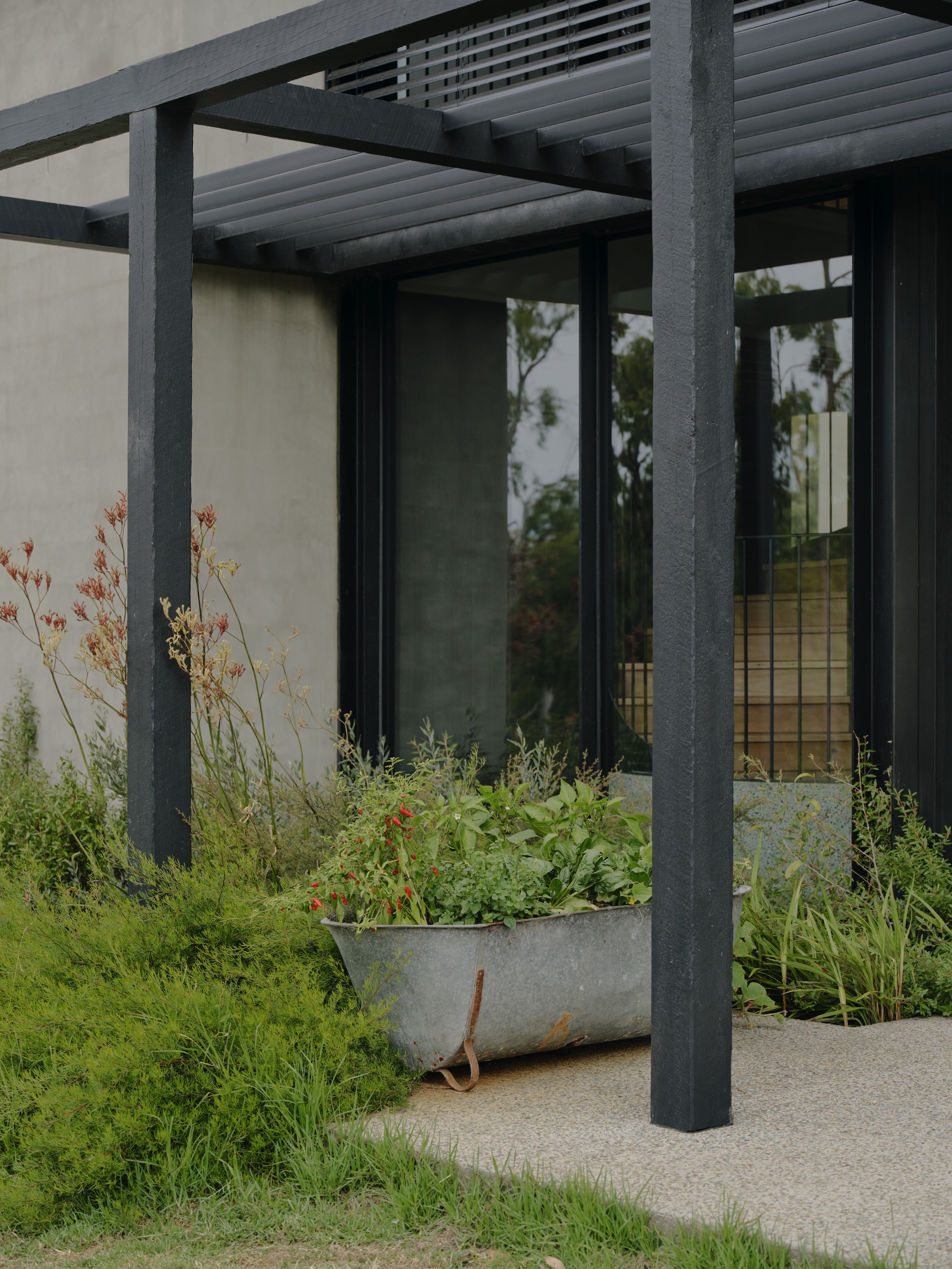 Steel pergola columns framing galvanized planter bed with grasses beside glazed facade under overcast sky