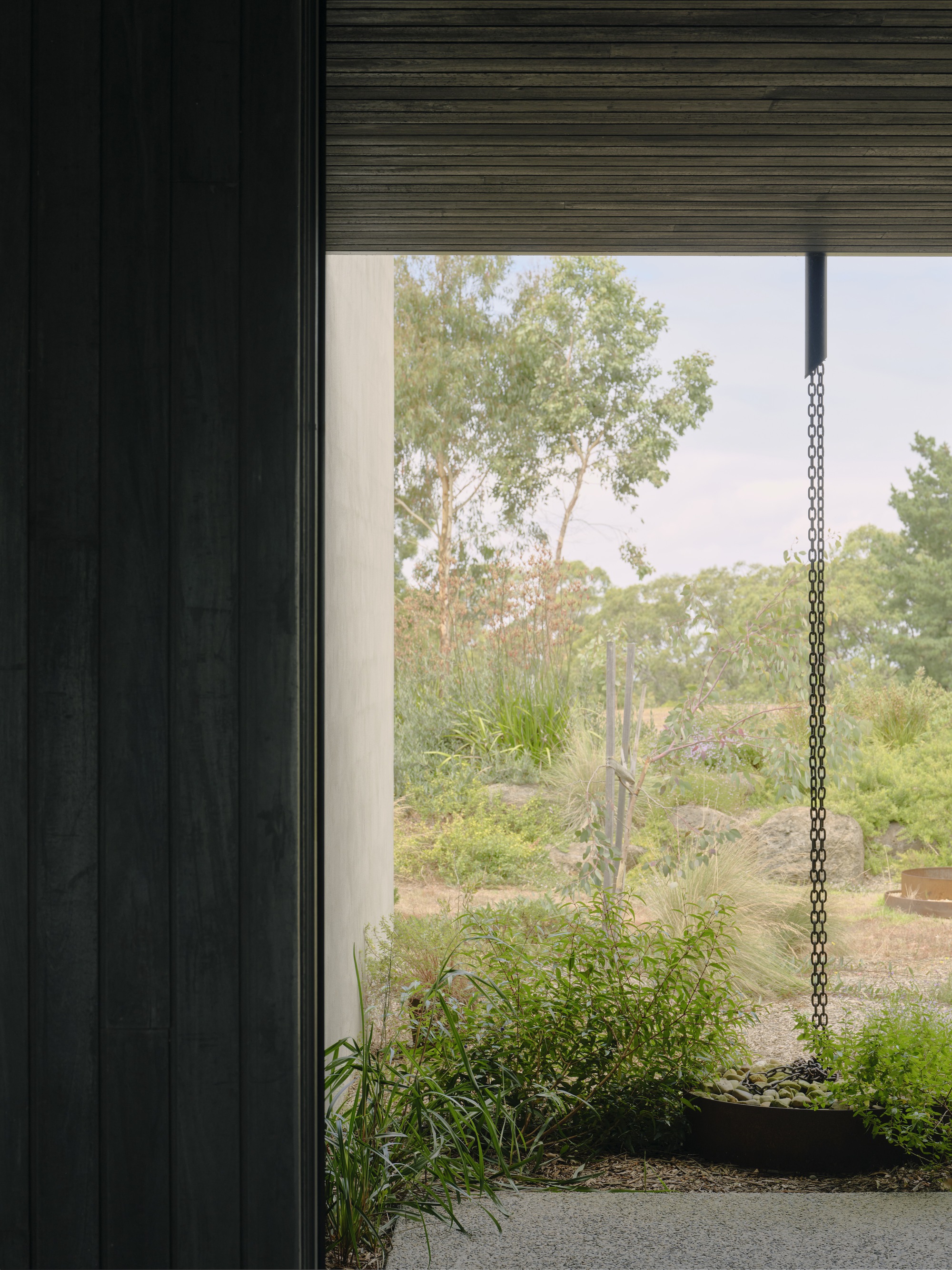 Corner window with black vertical cladding framing a planted bed and bushland beyond