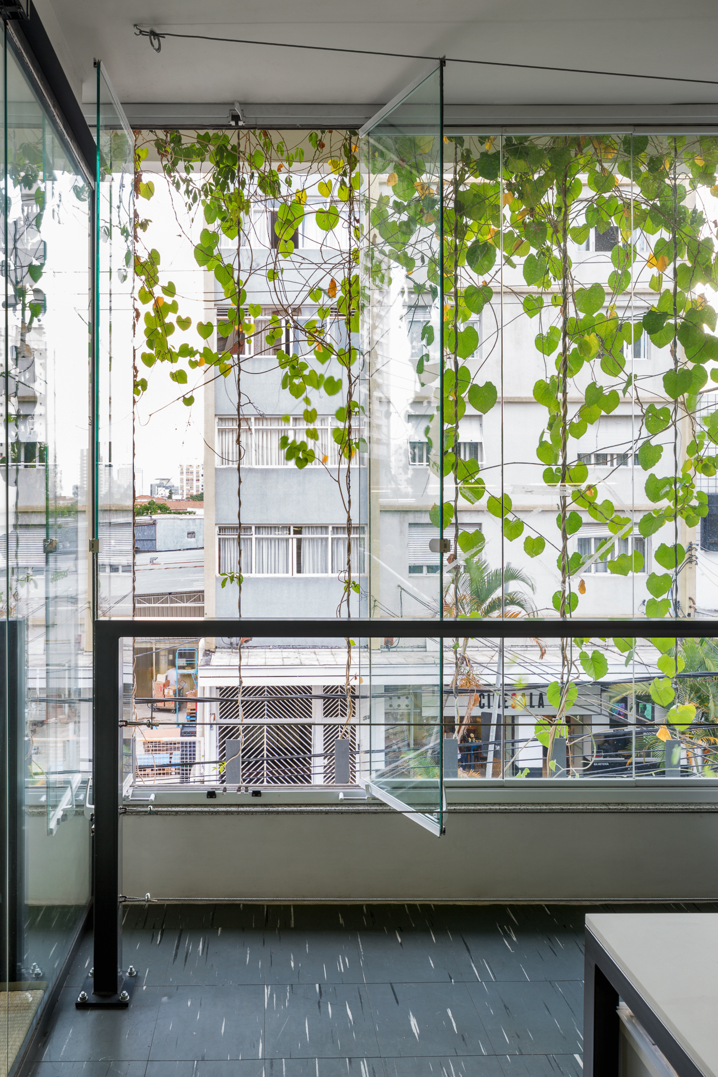 Interior corner with open frameless glass panels and heart-leaved vines hanging in front of neighbouring apartment blocks