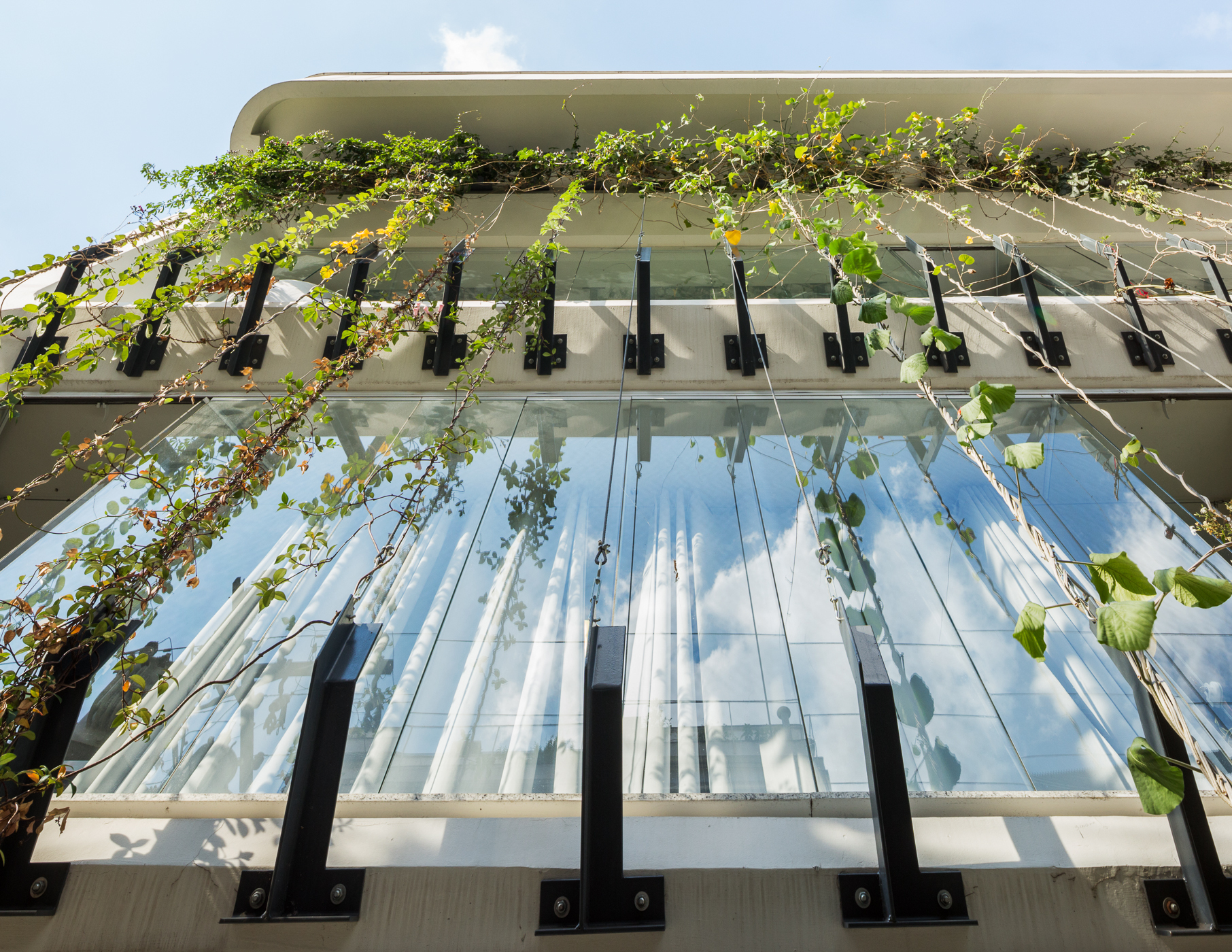Upward view of a glass facade with black steel brackets and climbing vines reflecting blue sky and white clouds