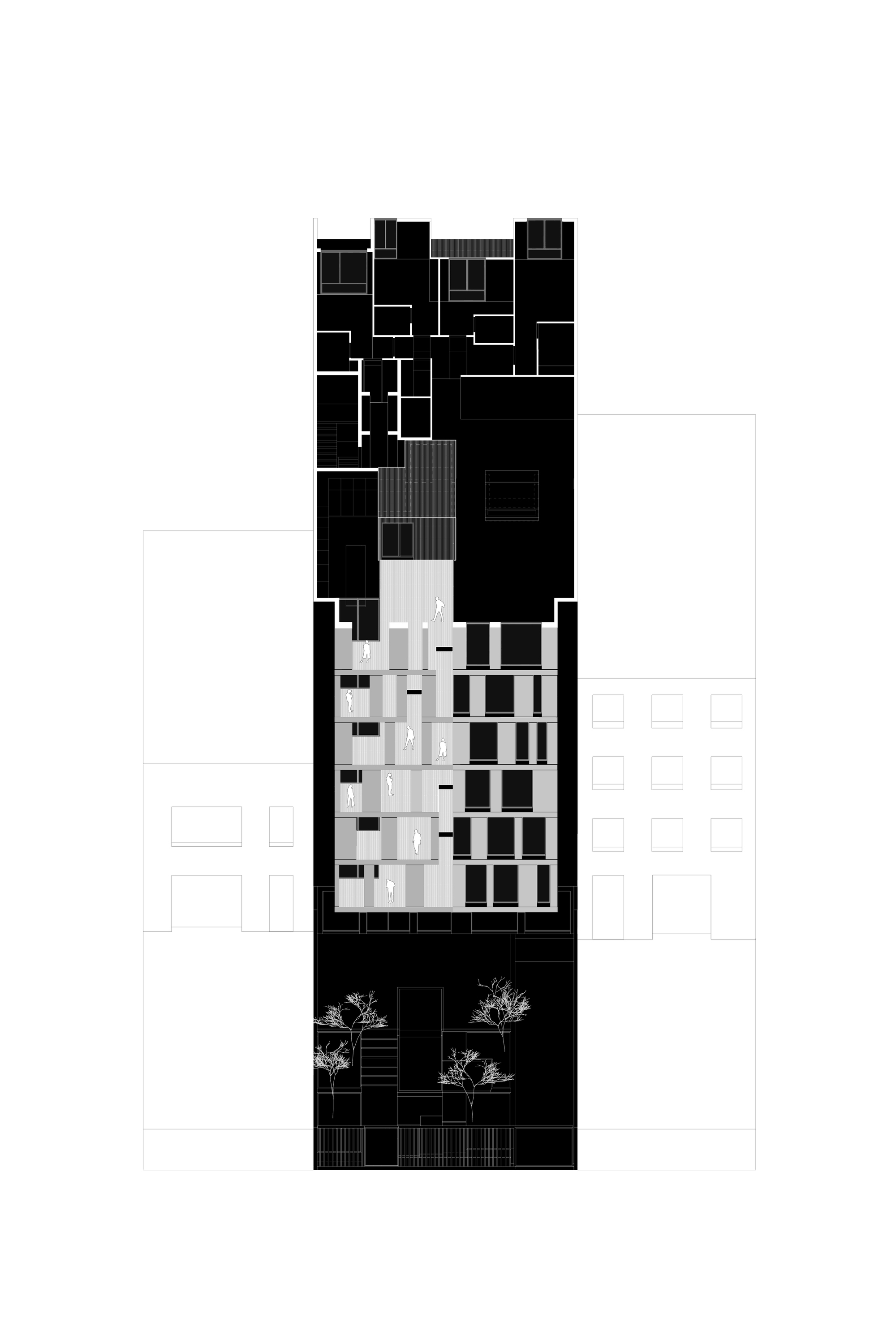 Section drawing showing stacked floor plates with front facade fenestration and street trees below
