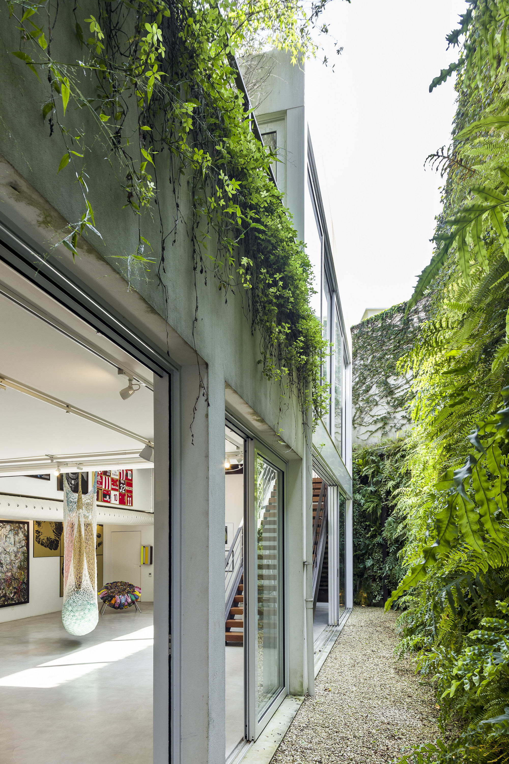 Side passage of gravel between a vine-draped concrete facade and a fern wall, with a gallery visible through open glazing