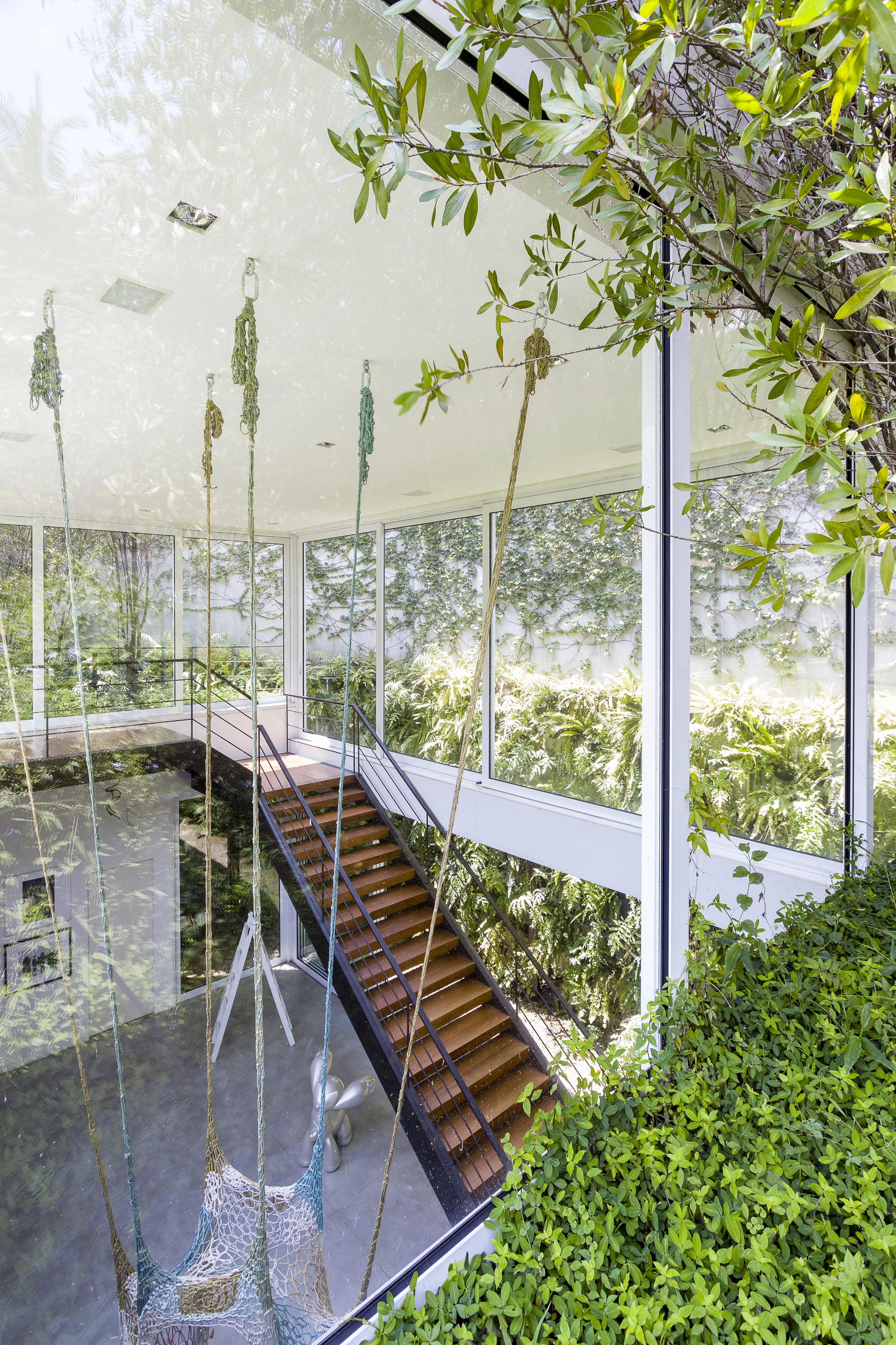 View down from above through glass to the timber stair, with leafy branches and hanging knotted ropes in the foreground
