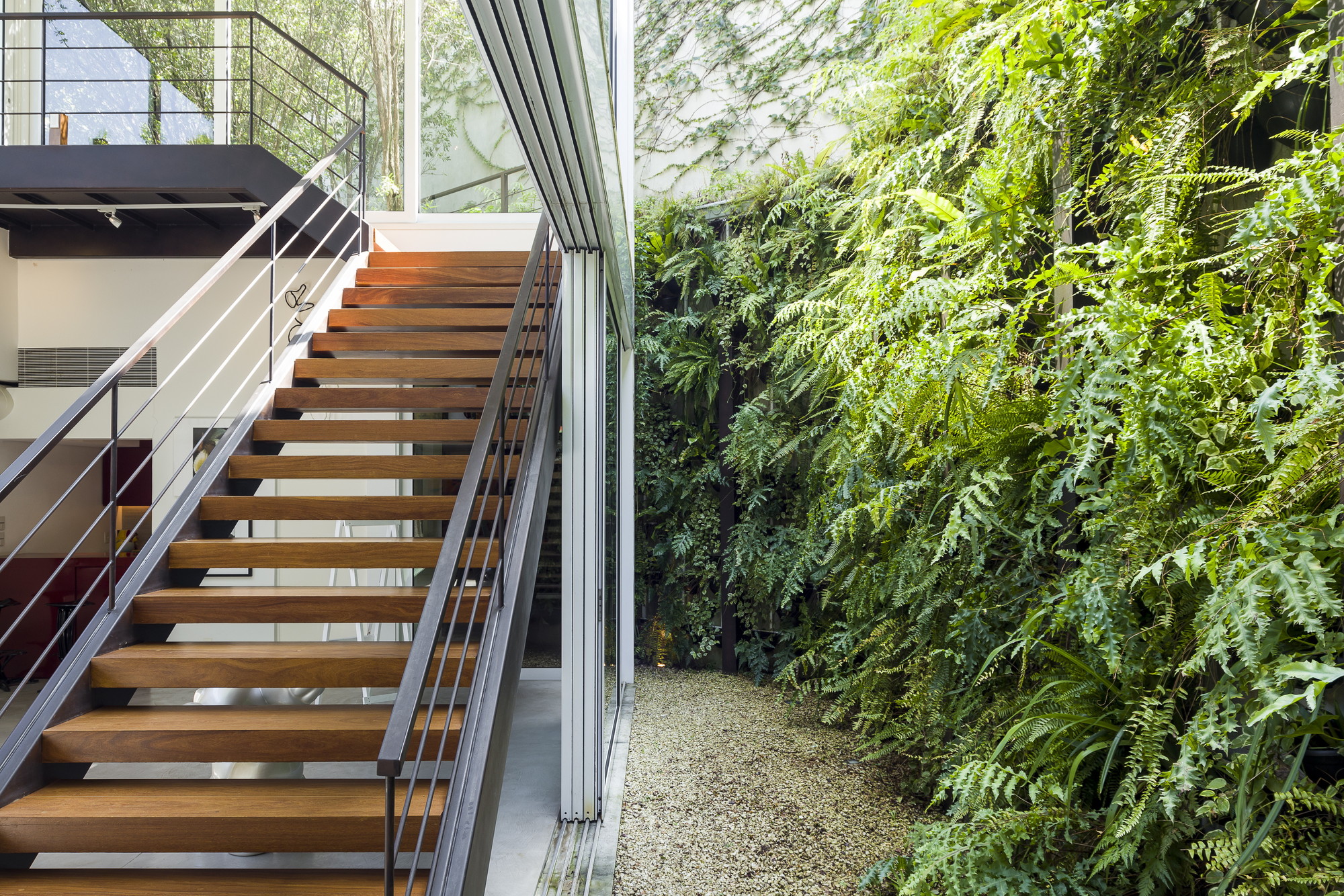 Open-tread timber stair with thin steel railings alongside a dense fern wall and a gravel strip in soft light