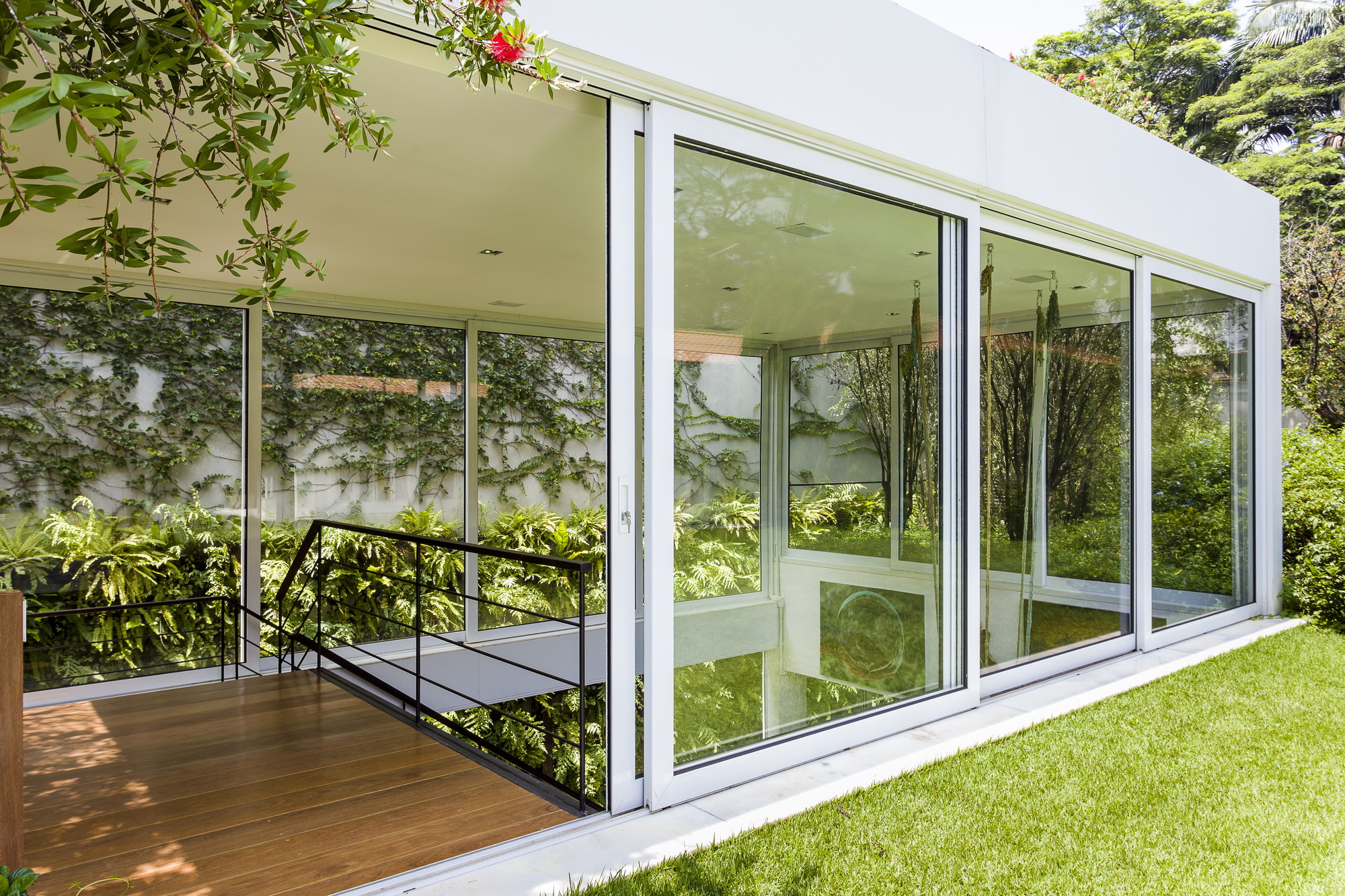 Glass-walled ground floor pavilion with sliding doors, a timber deck and railing, and a vine-covered wall seen from a sunlit lawn