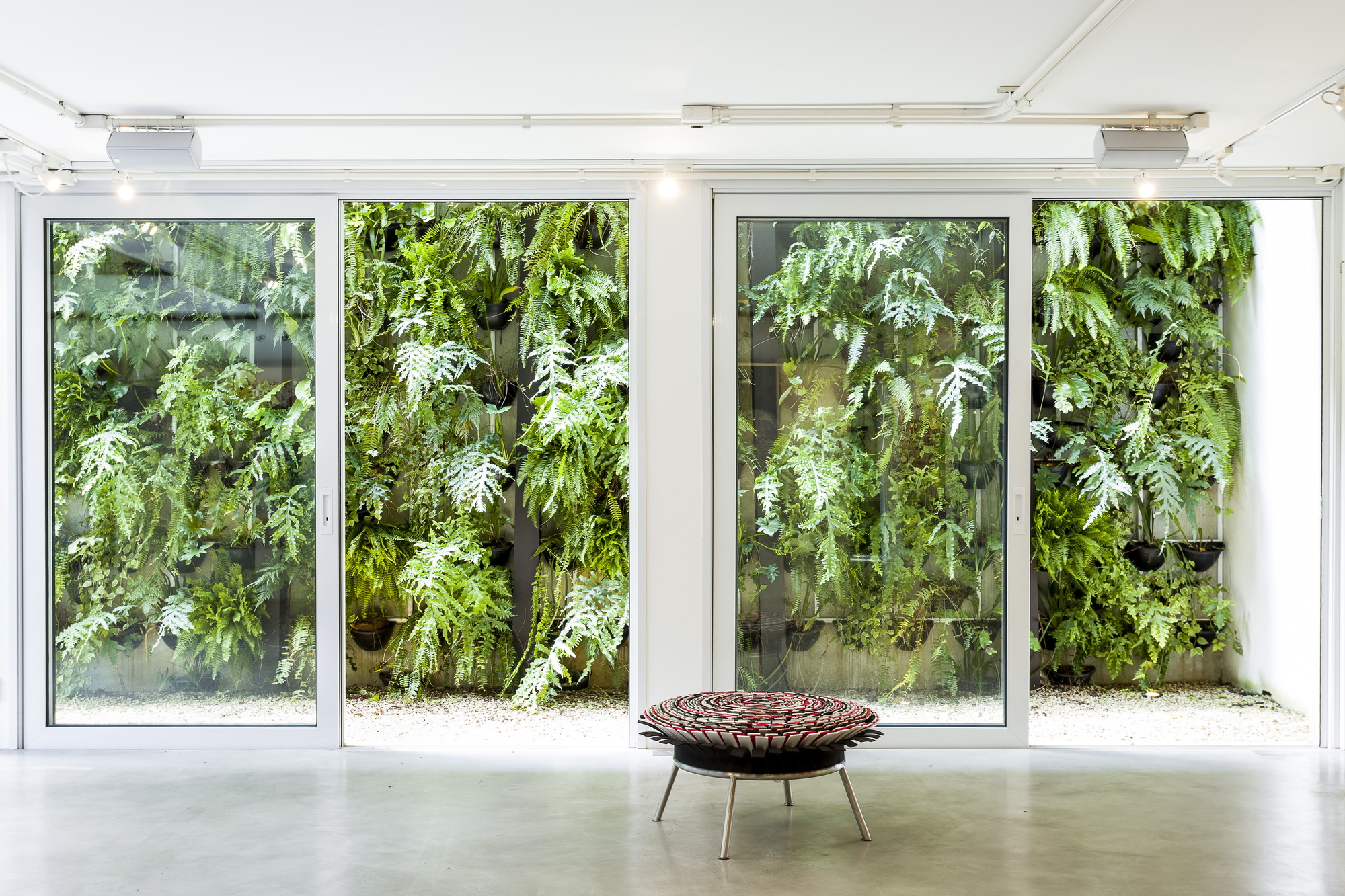Glazed sliding doors facing a vertical garden of ferns, with a round woven stool on the concrete floor in front