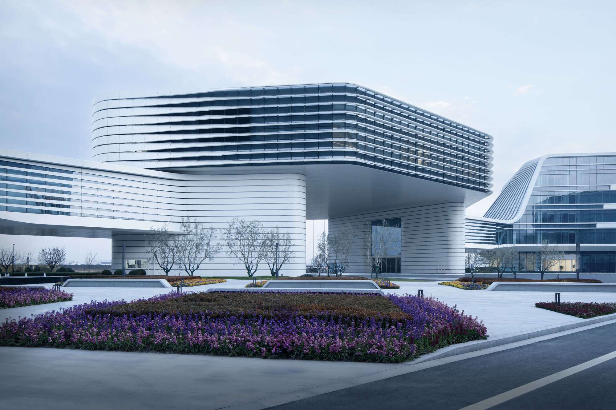 Cantilevered bridge volume with horizontal banding above a planted forecourt with purple flowering beds