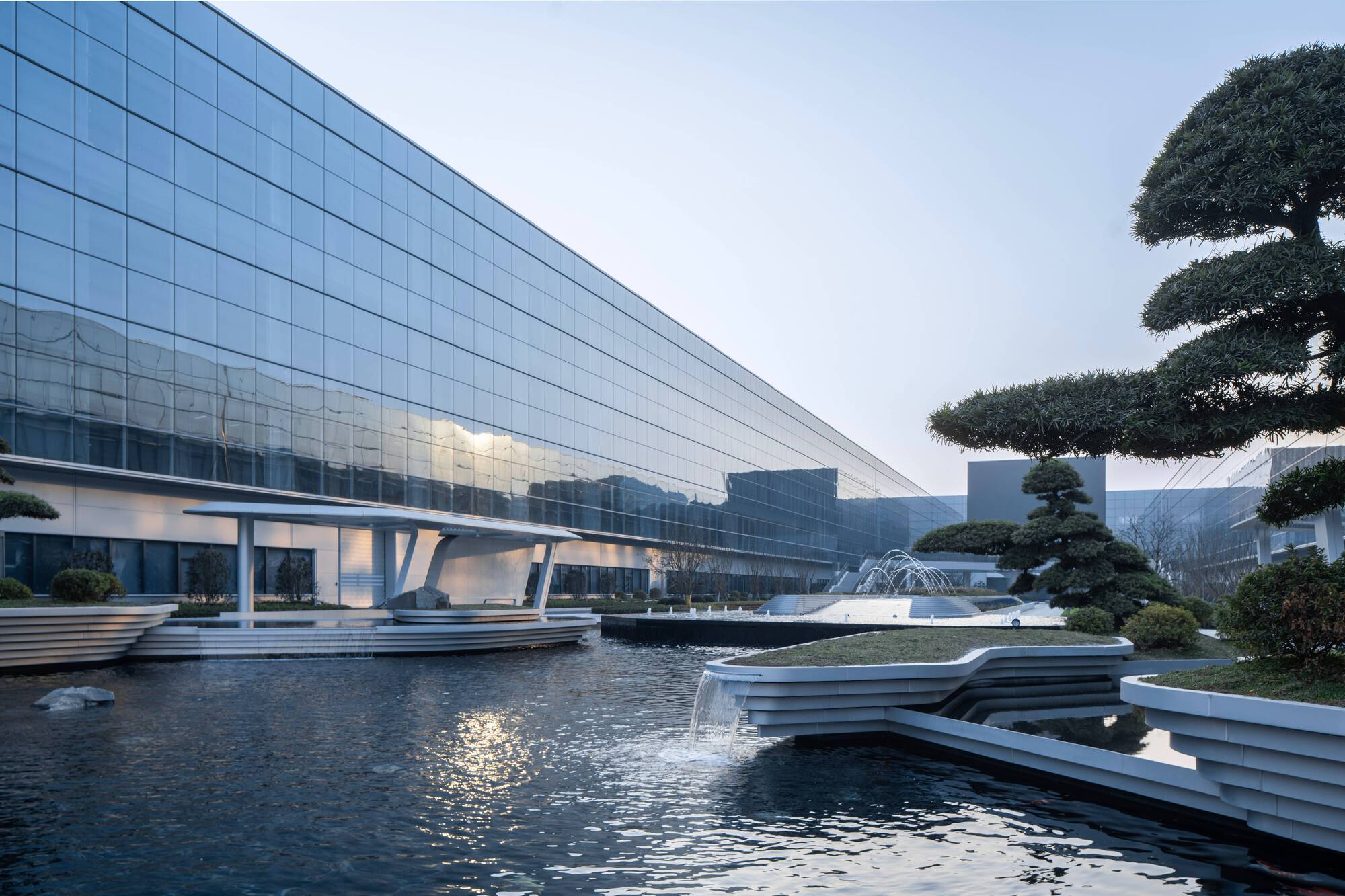 Water courtyard with sculptural pines reflected in the pool beside the glass facade at dusk