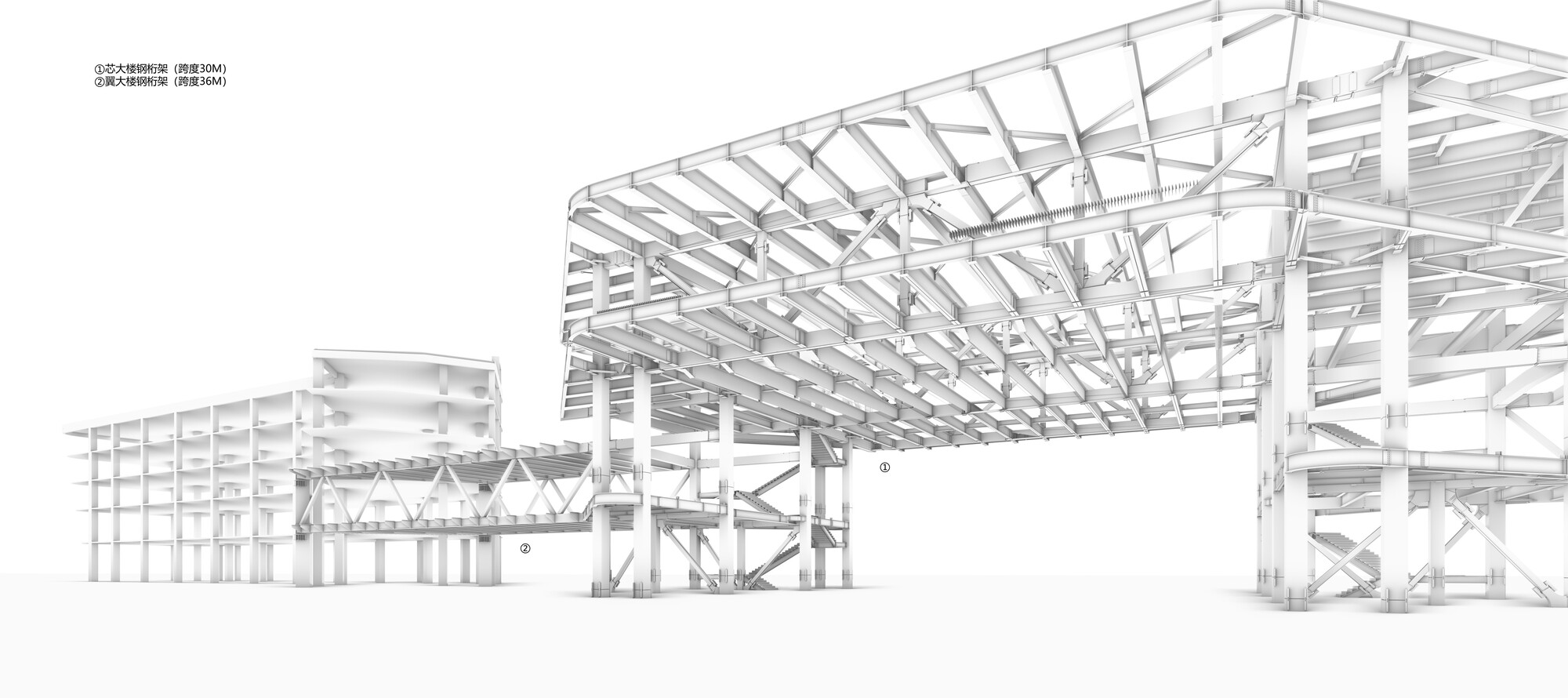 Section drawing showing the lattice truss roof canopy and interior spatial volumes