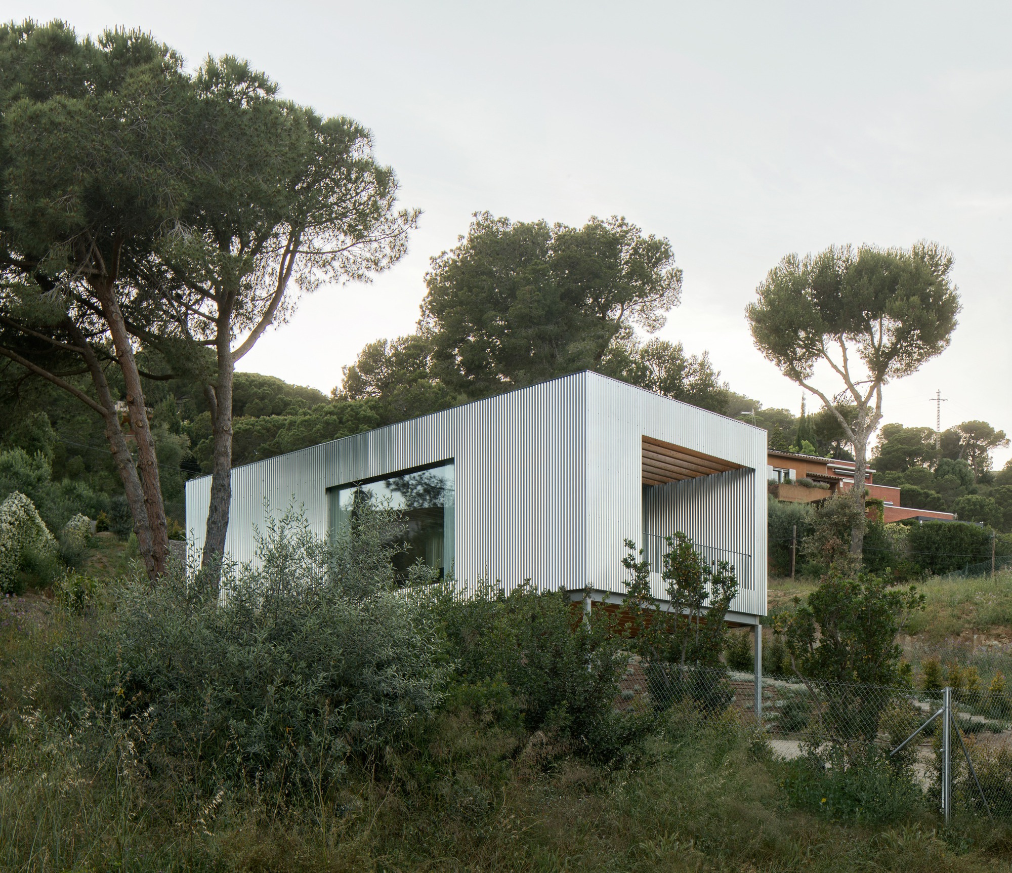 Corrugated metal facade with rectangular window opening nestled among pine trees on a sloped site