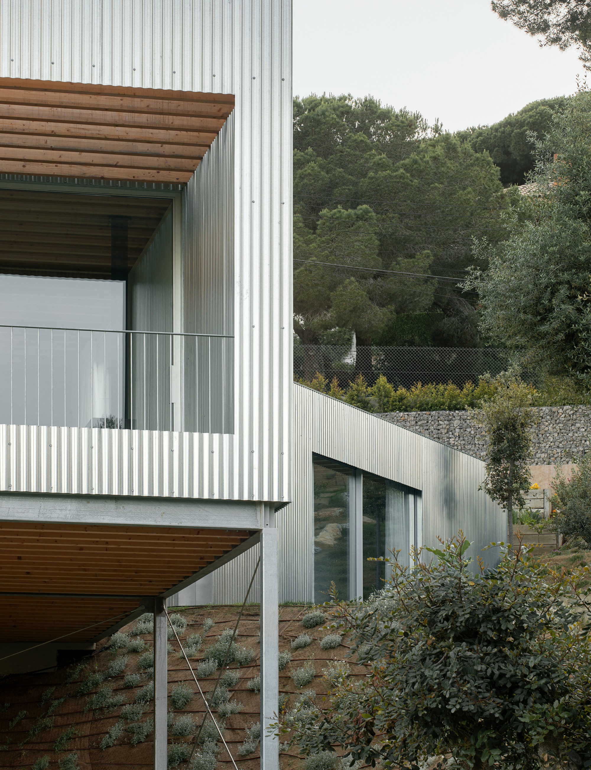 Balcony detail showing corrugated metal cladding and timber soffit above terraced landscaping