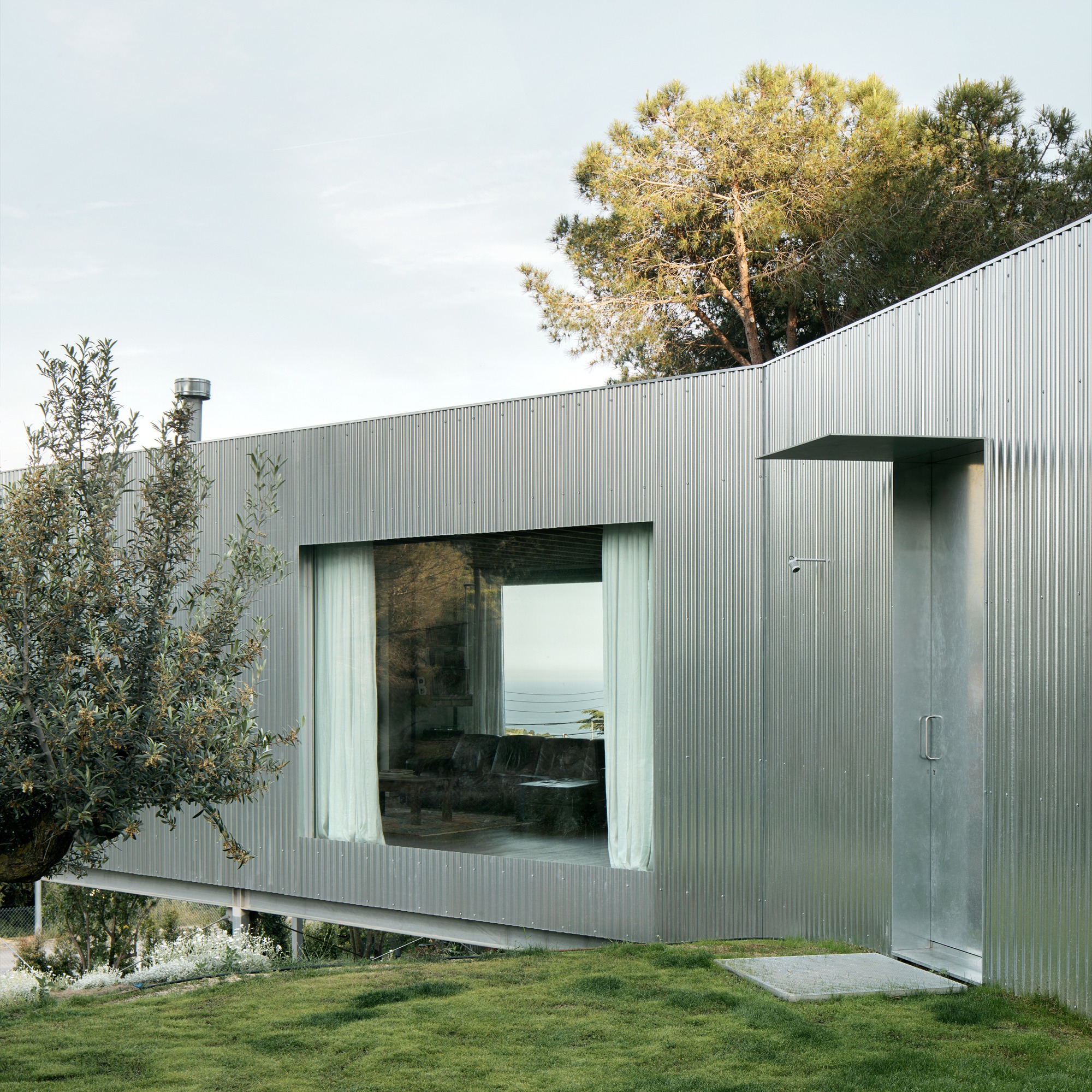 Corner window and entrance door on corrugated metal volume elevated above lawn and olive trees
