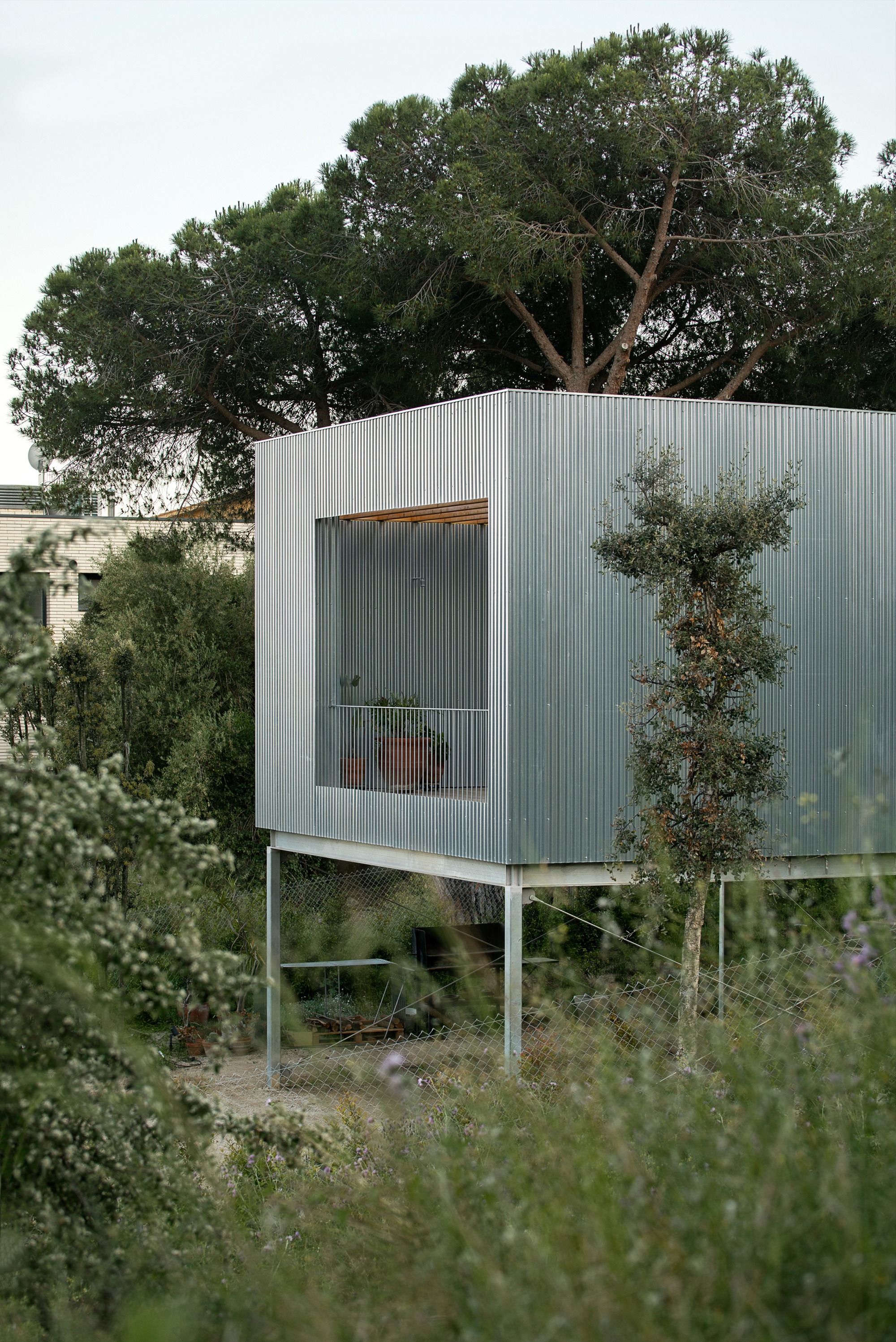 Elevated pavilion on slender columns clad in vertical metal panels beneath mature pines