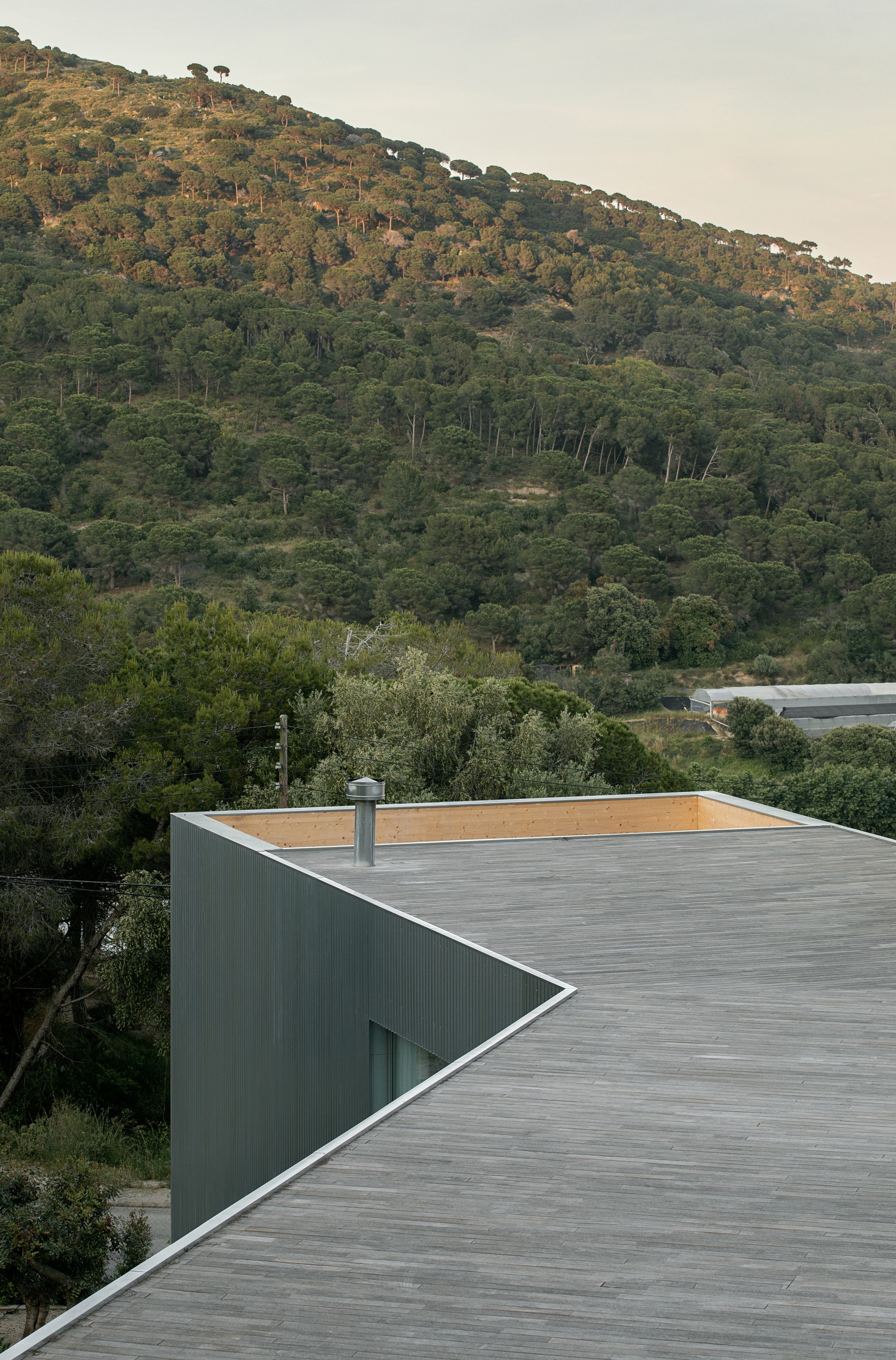 Timber roof deck and corrugated wall edge with hillside forest in evening light