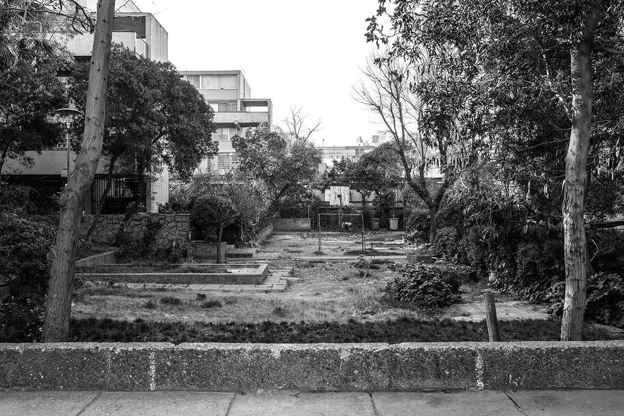 Overgrown courtyard with terraced planting beds and residential towers visible through the trees