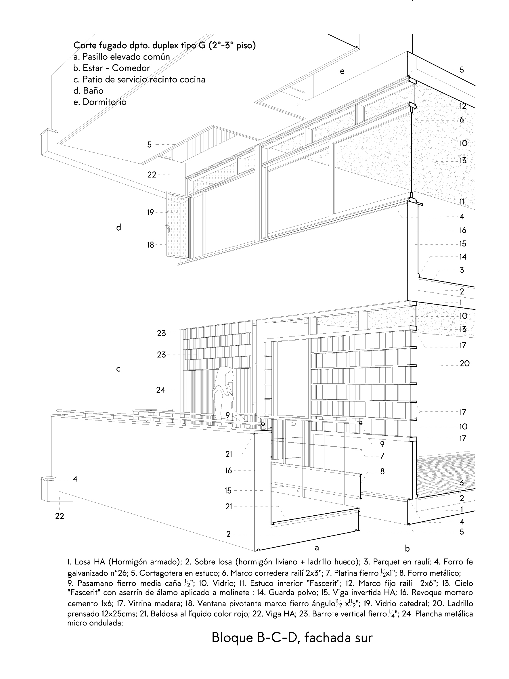 Section drawing detailing facade composition with window frames, balconies and interior spatial relationships
