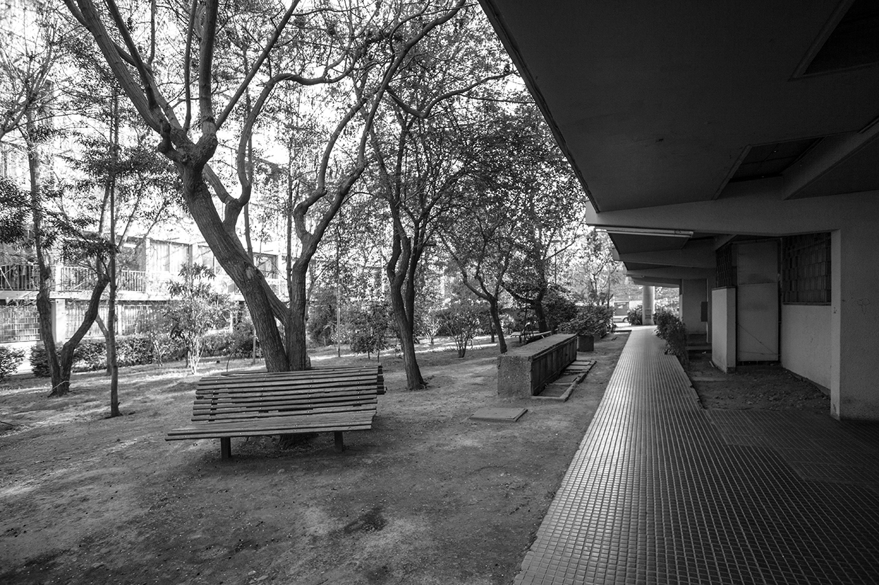Covered walkway with benches under the raised building volume looking out to a tree-lined garden