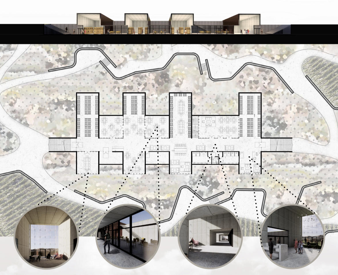 The tasting complex combines clustered rooms, framed views, and interconnected spaces within the landscape.