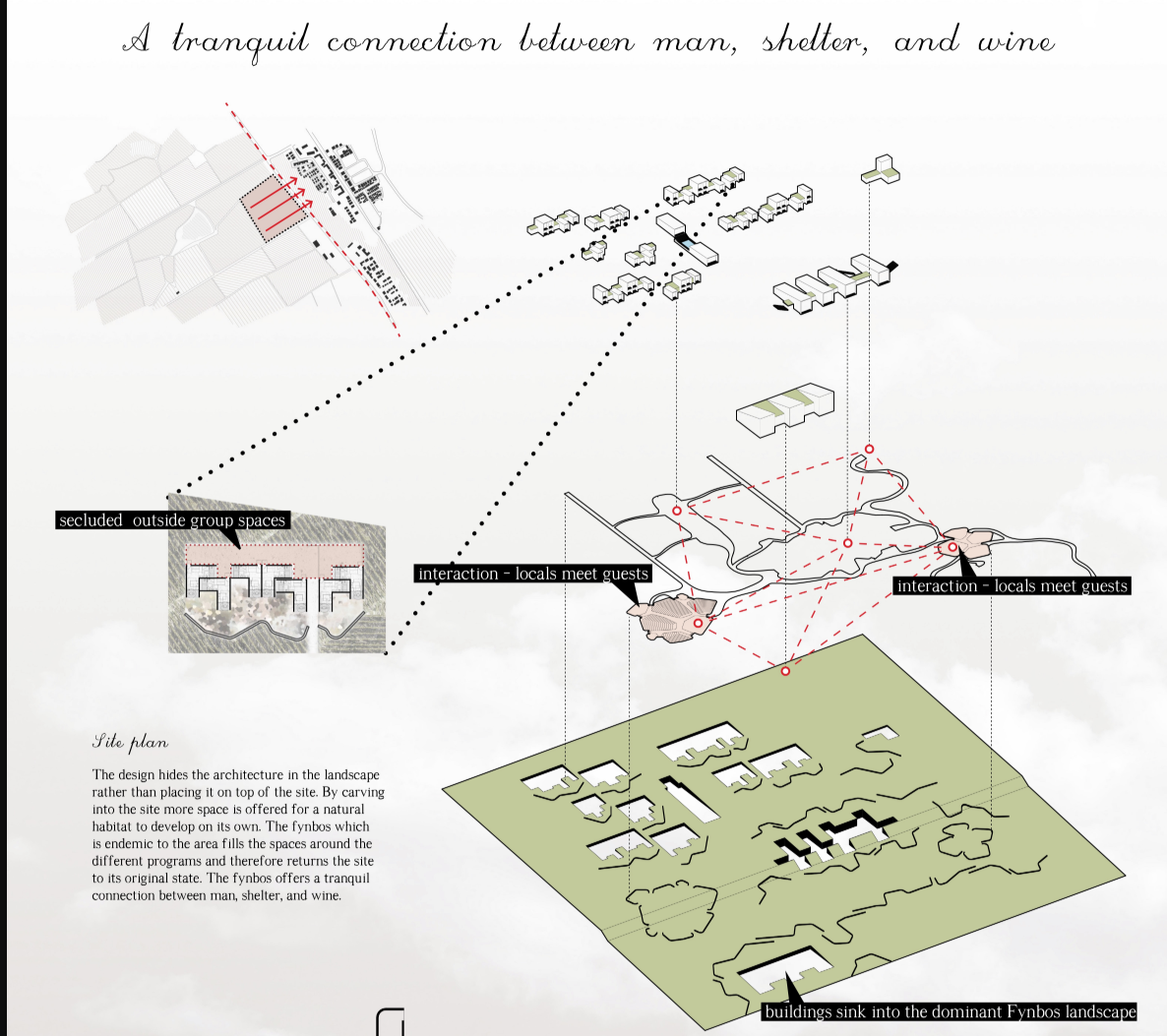The site strategy sinks architectural clusters into the terrain while balancing secluded spaces with social interaction.