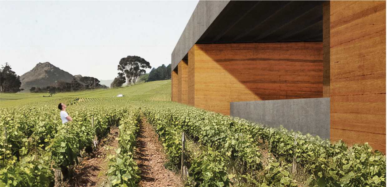 Rammed-earth walls extend into the vines, framing a direct relationship between building, soil, and terrain.