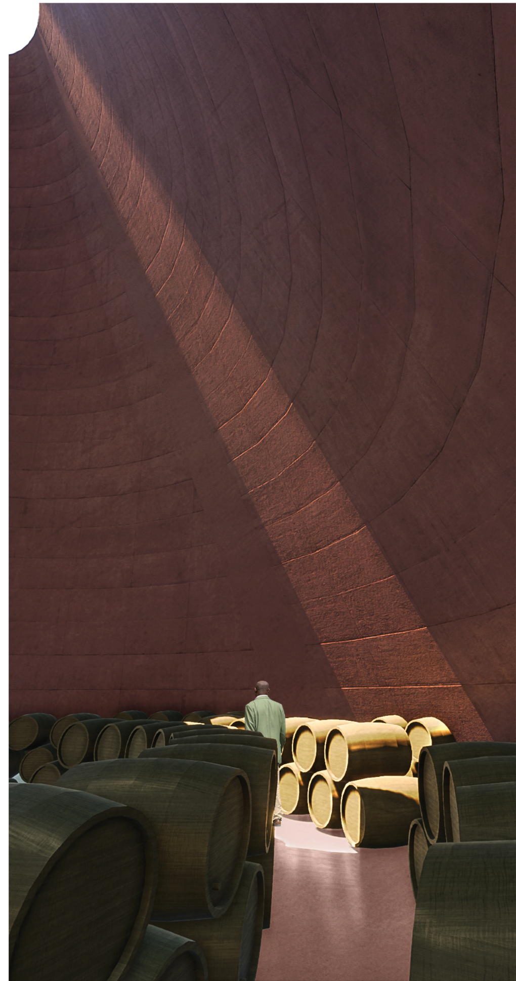 Filtered light enters the monumental maturation chamber, creating a contemplative setting among the wine barrels.
