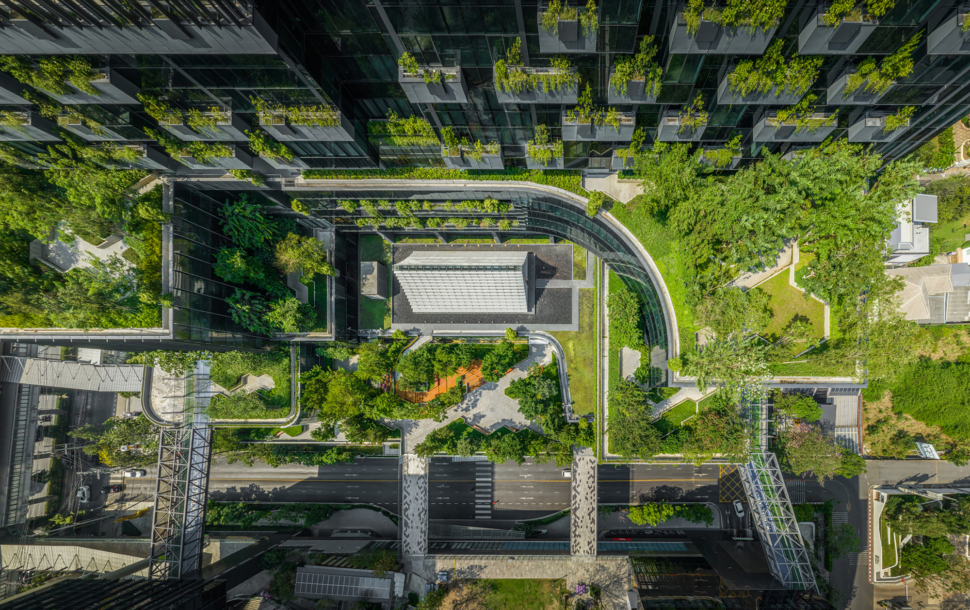 Aerial view of residential towers with green roof terraces and planted courtyards connected by curving pathways